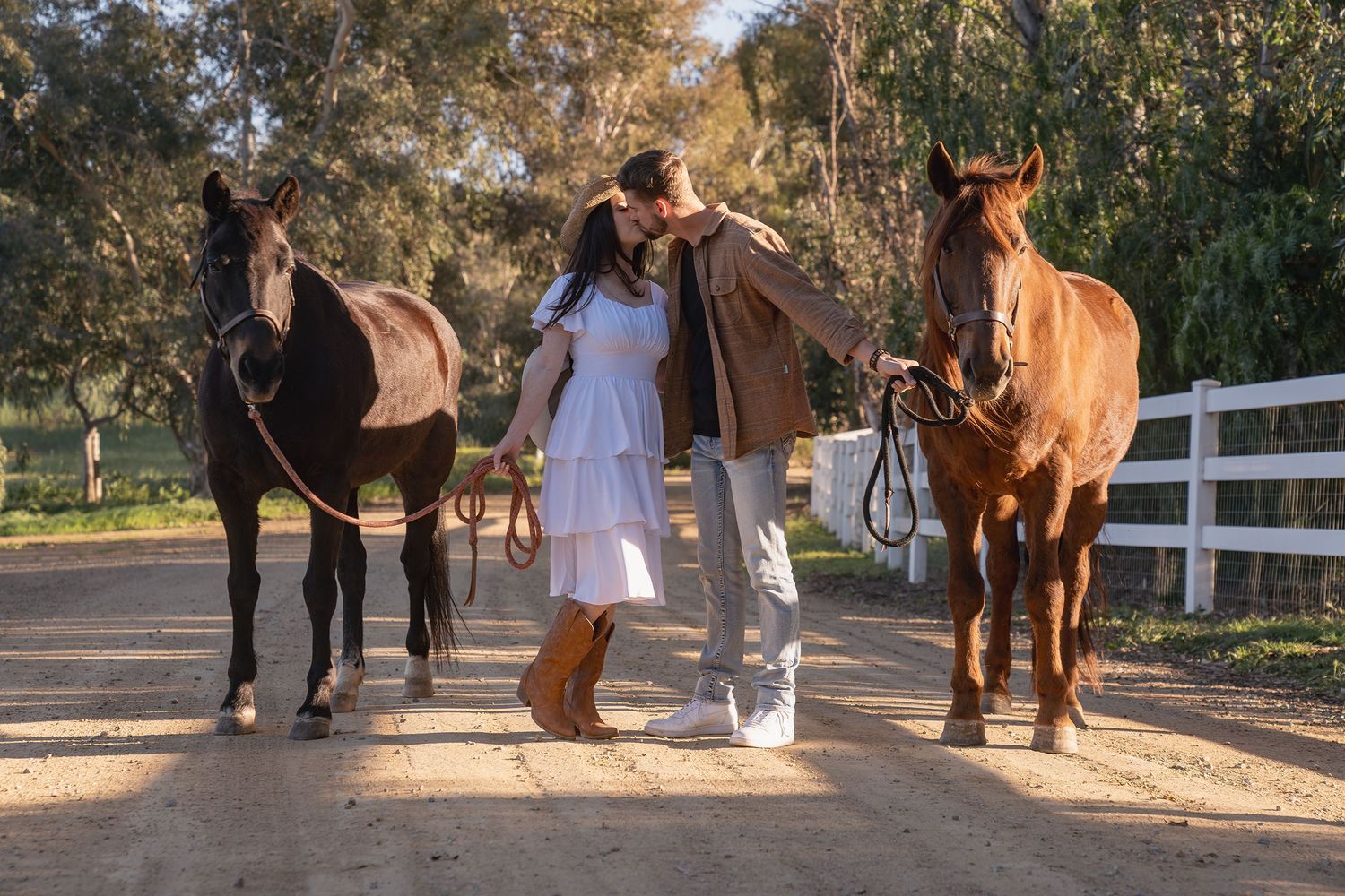 A sequence of equestrian photos showing people with horses along a white fence in warm sunset lighting.