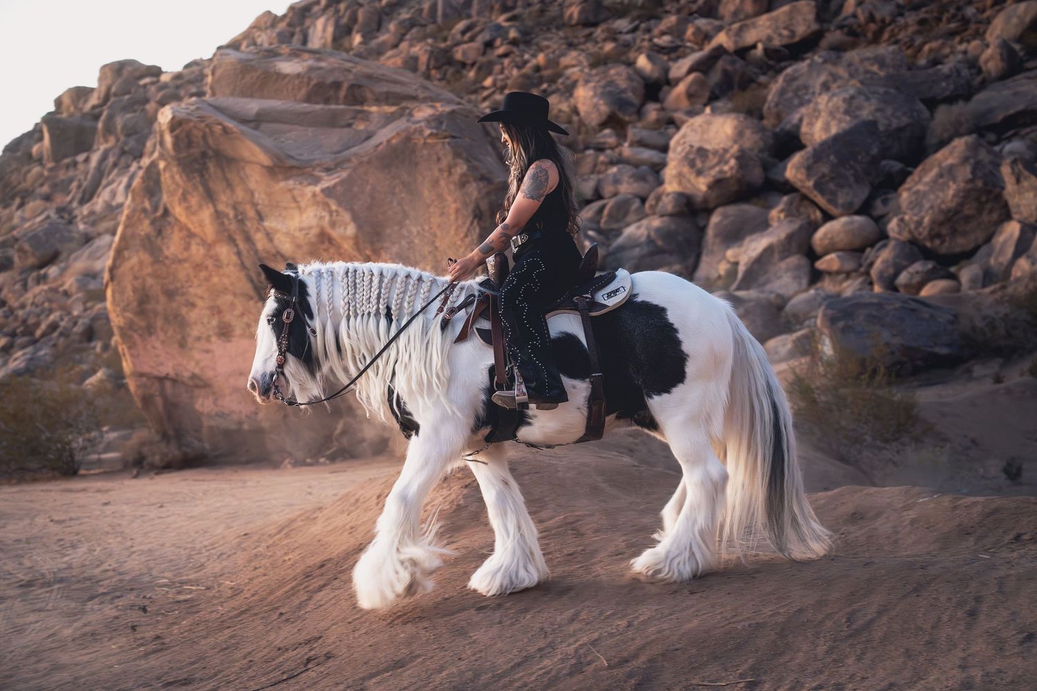 Rider on a majestic black and white horse against rocky desert backdrop.