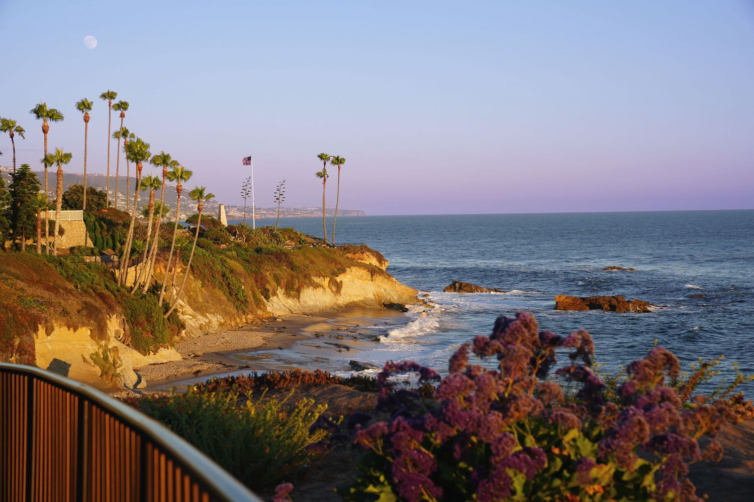 Palm trees line the cliffs overlooking a scenic coastal beach in Laguna Beach, California at sunset.