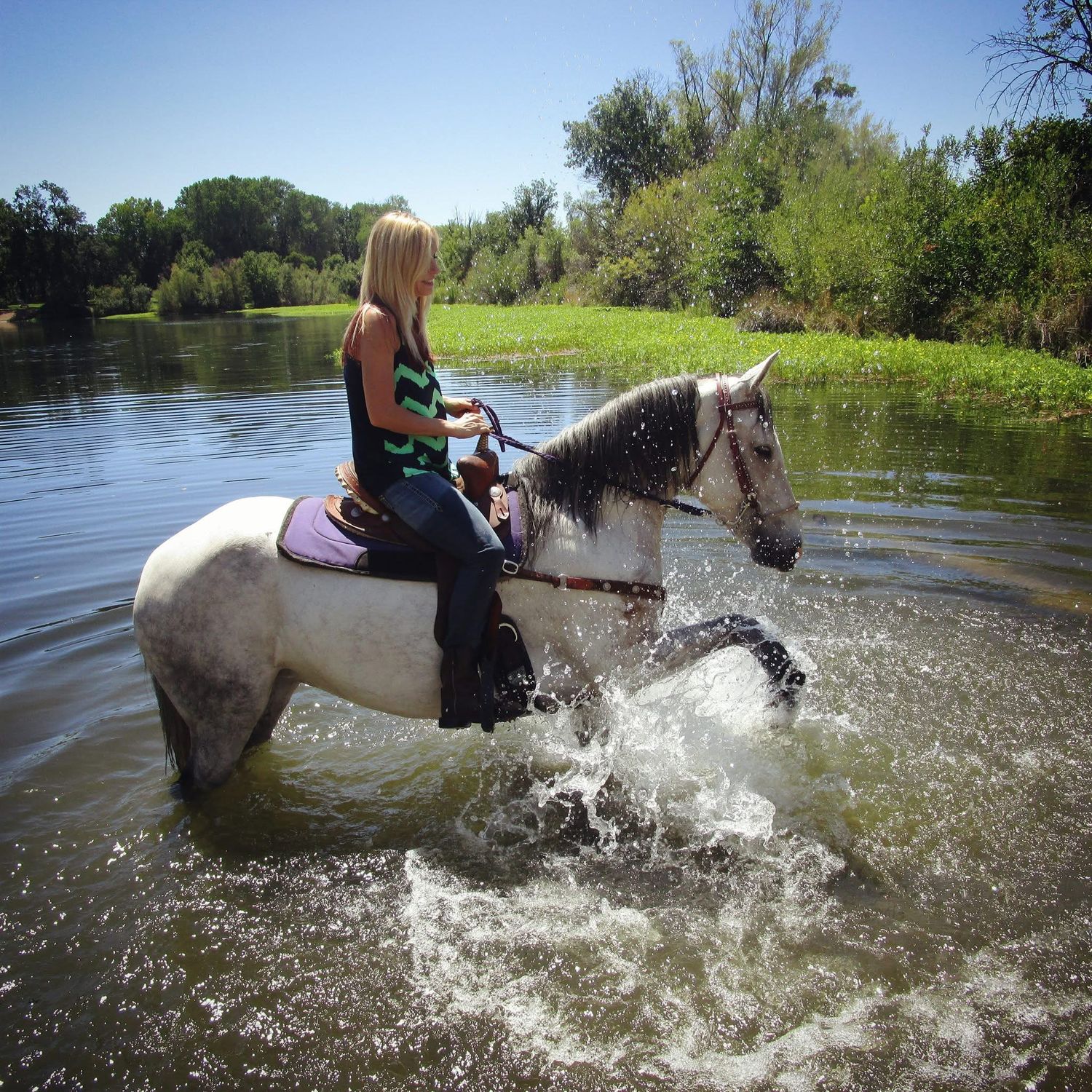 Horse and rider splashing through water creating dramatic spray effects.