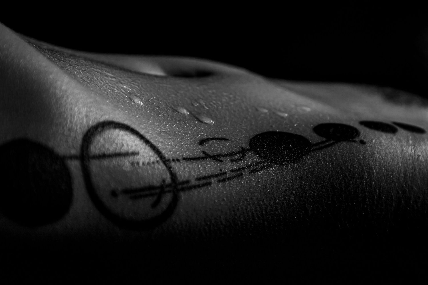 Abstract black and white photography showing textured shadows and curves.