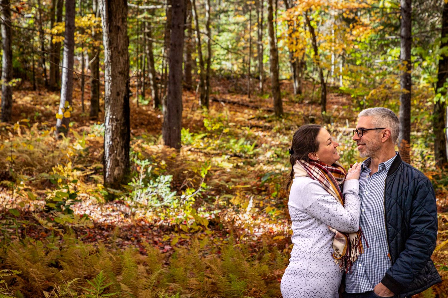 Romantic autumn forest scene with fall foliage and pine trees creating a natural backdrop.