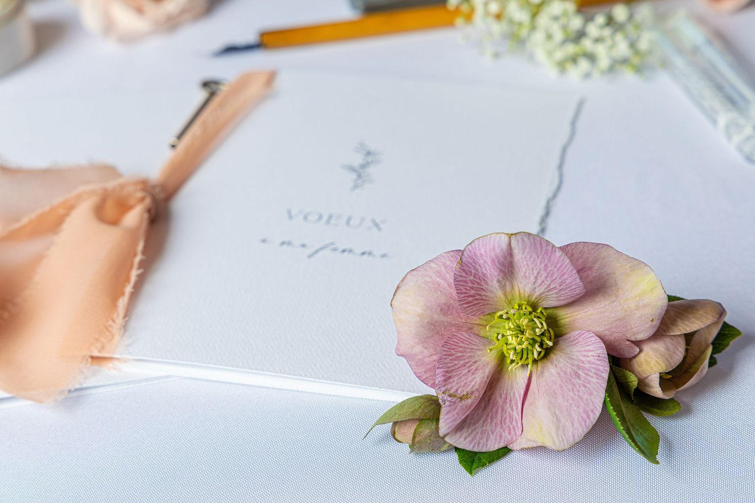 Delicate pink hellebore flowers arranged with paper and writing materials on a white surface.