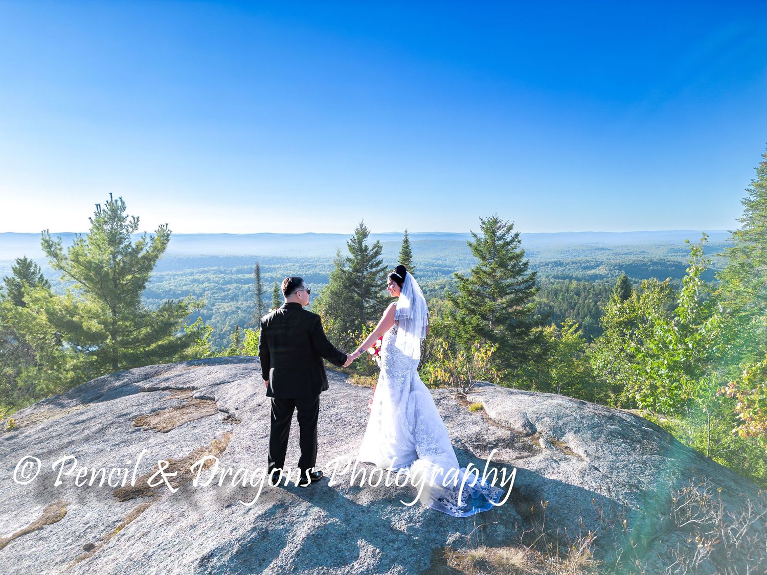 A scenic mountaintop vista with evergreen trees and distant mountains under a bright blue sky.