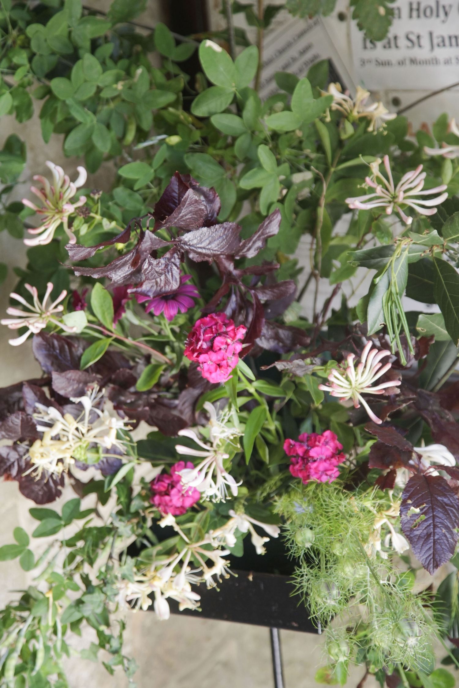 Beautiful floral arrangement featuring pink blooms and white honeysuckle against green foliage.
