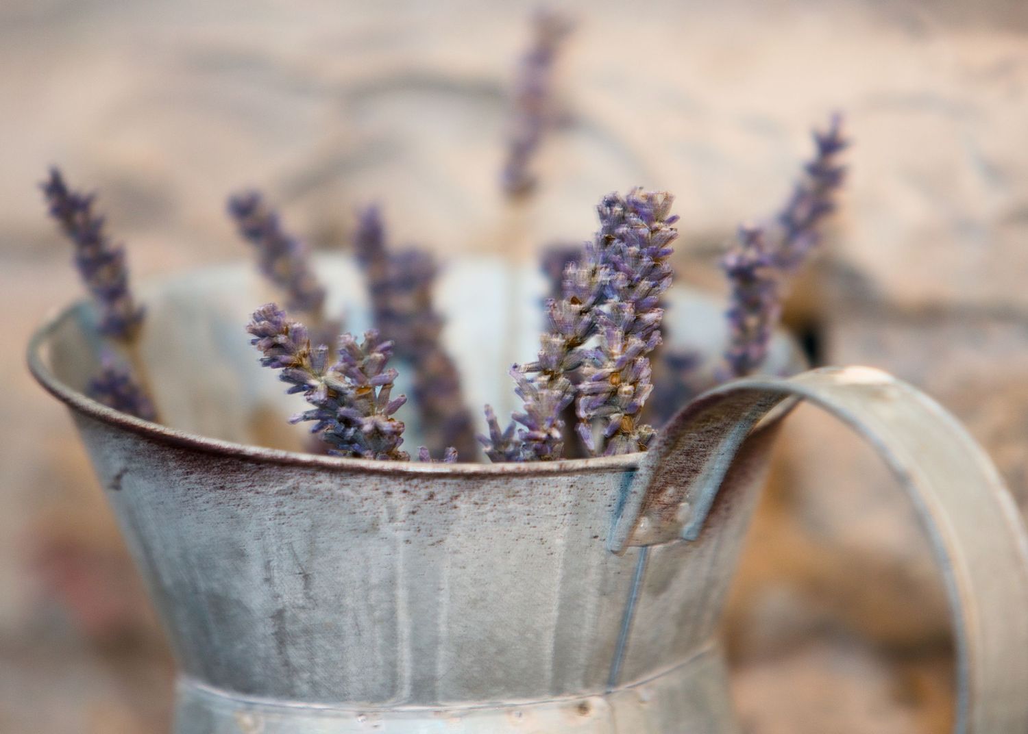 Decorative dried lavender sprigs arranged in vintage metal containers for wedding decor.