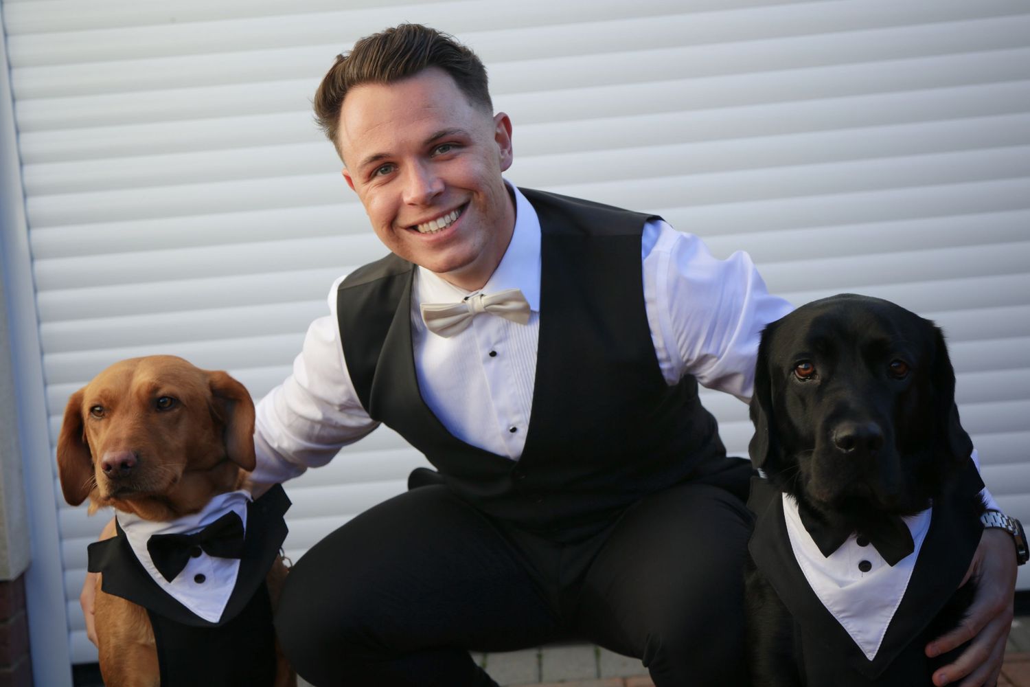 Groomsmen pose with their dogs dressed in matching formal bowties.