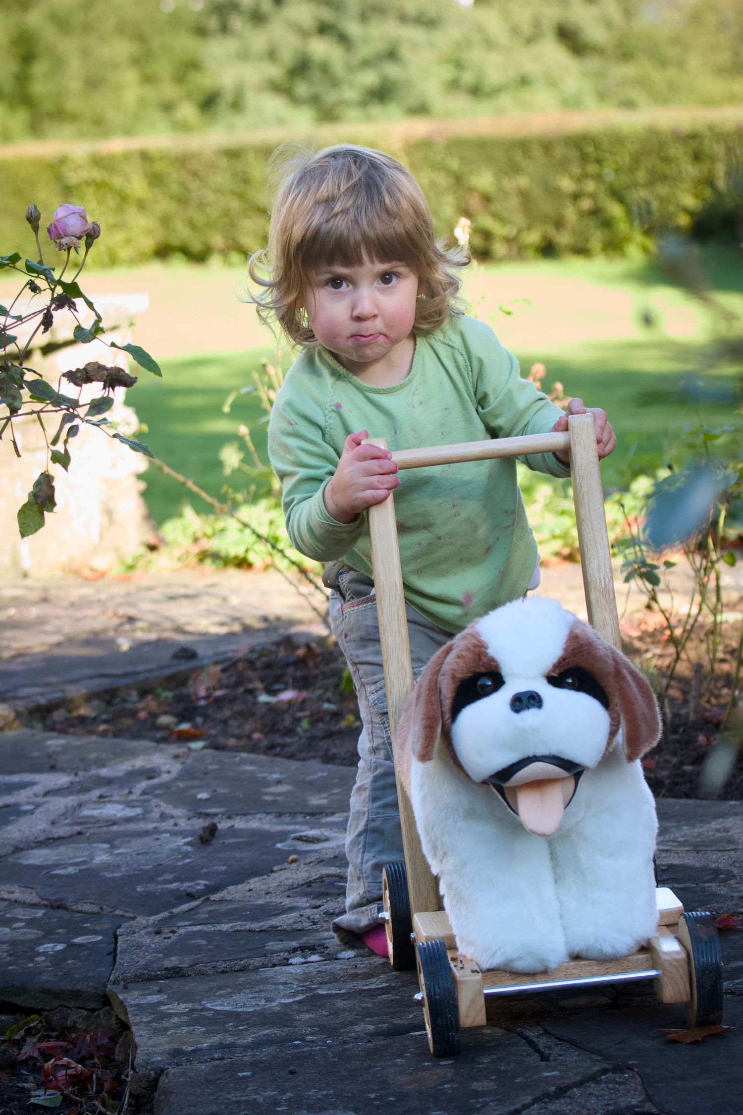 Small child in green shirt pushes a plush Saint Bernard dog toy in a wooden cart along a garden path.