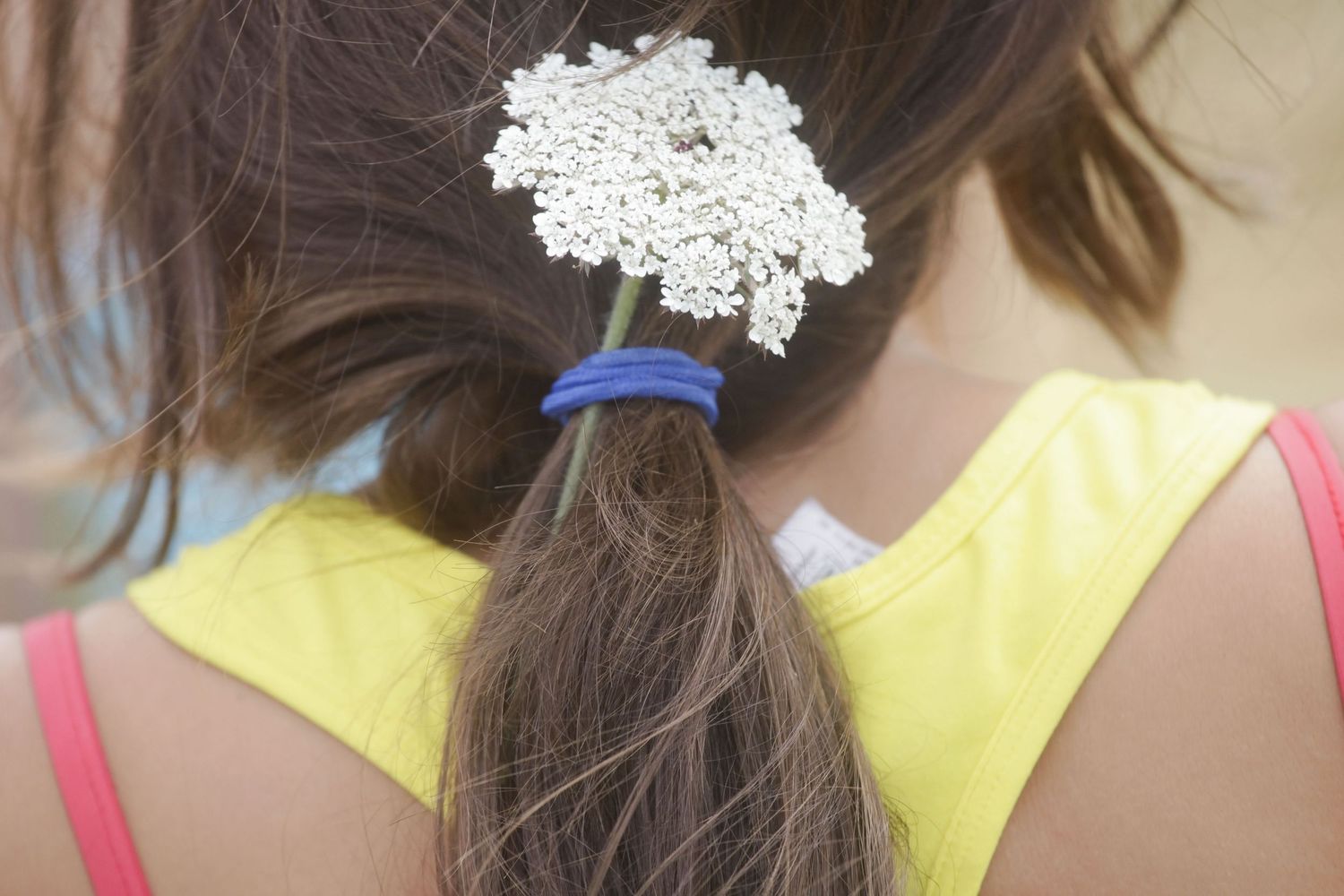 Close-up of decorative white lace hair accessories against pastel backgrounds.