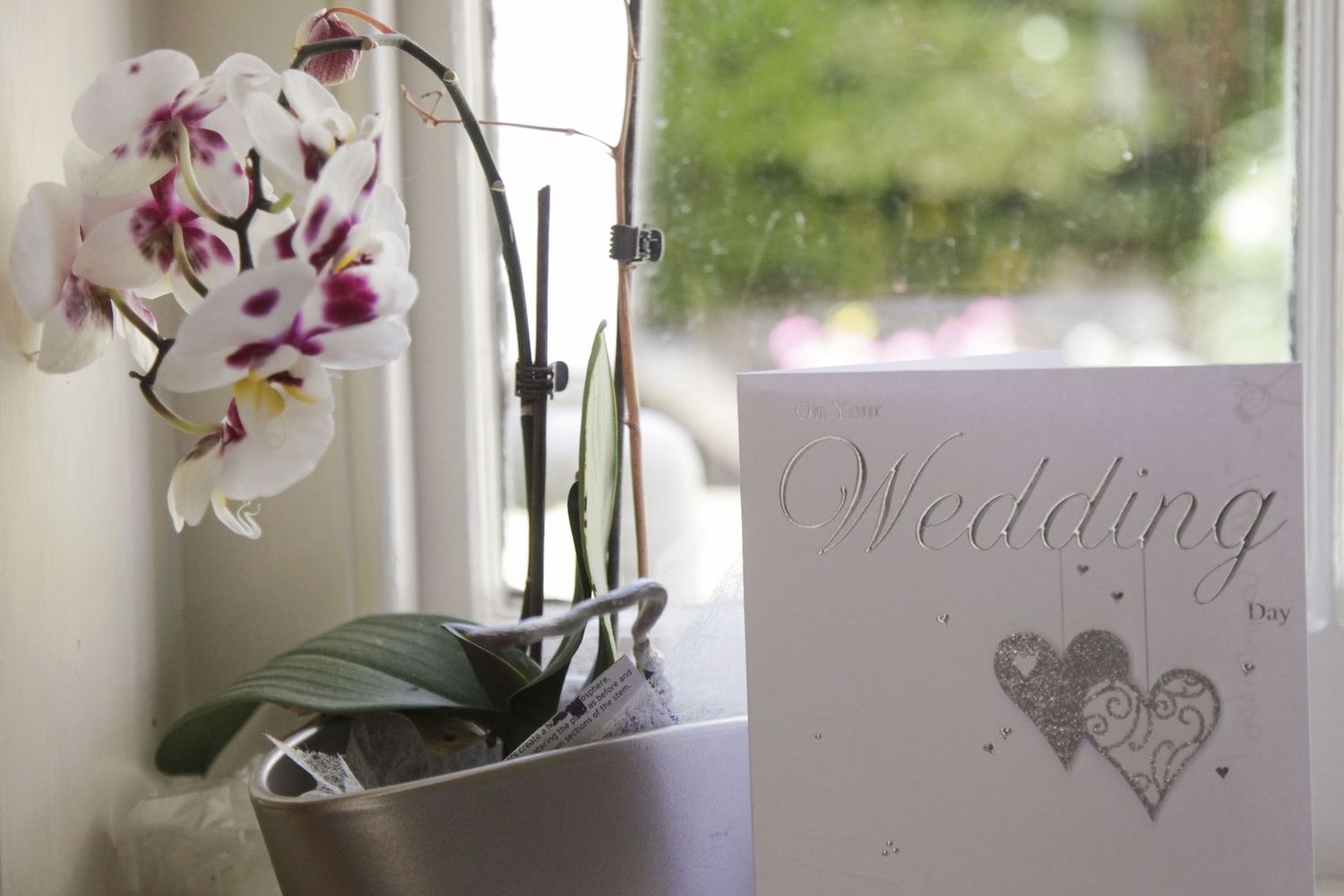 White orchids displayed on windowsills with wedding decorations.