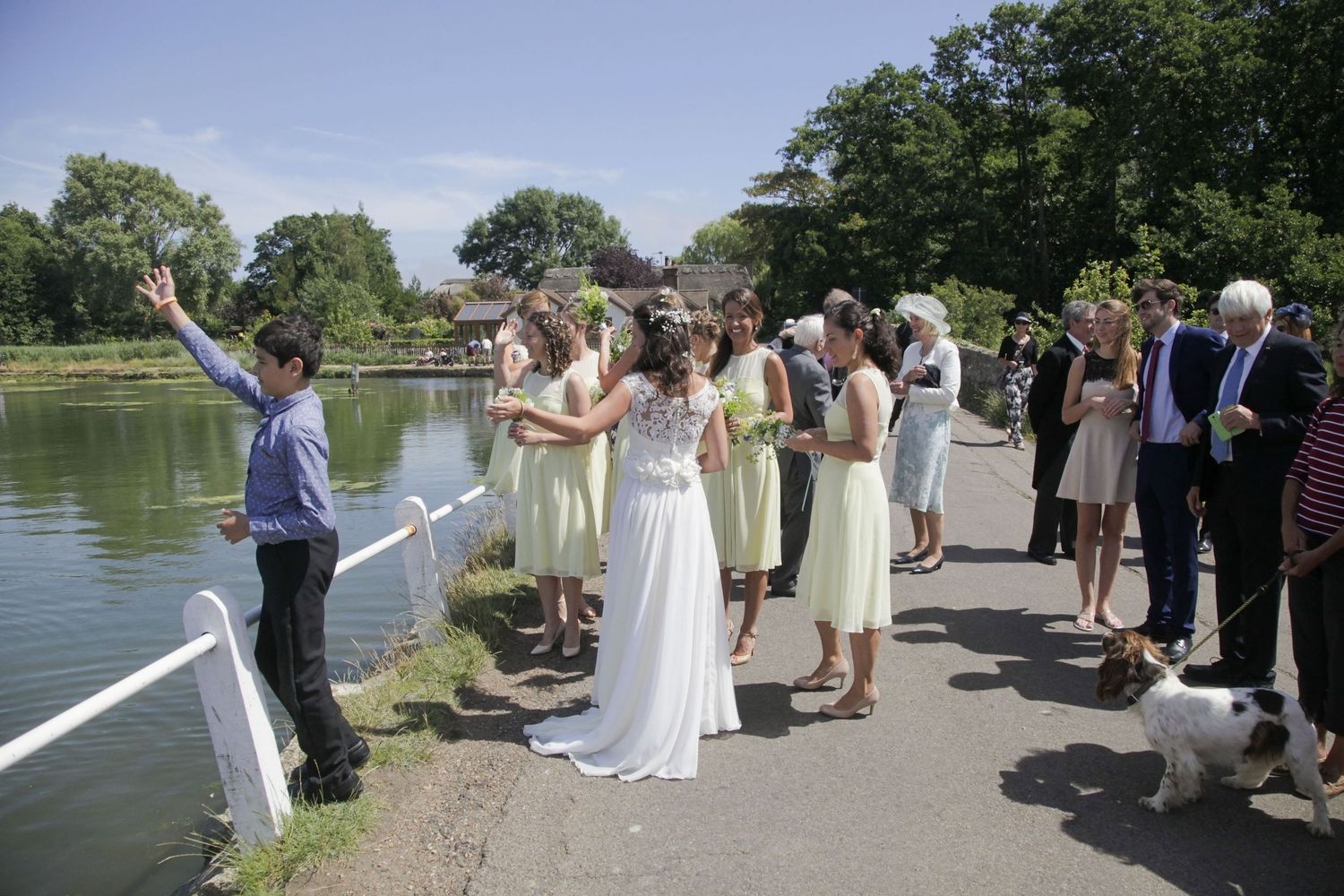 A wedding party poses along a lakeside path surrounded by lush greenery on a sunny summer day.