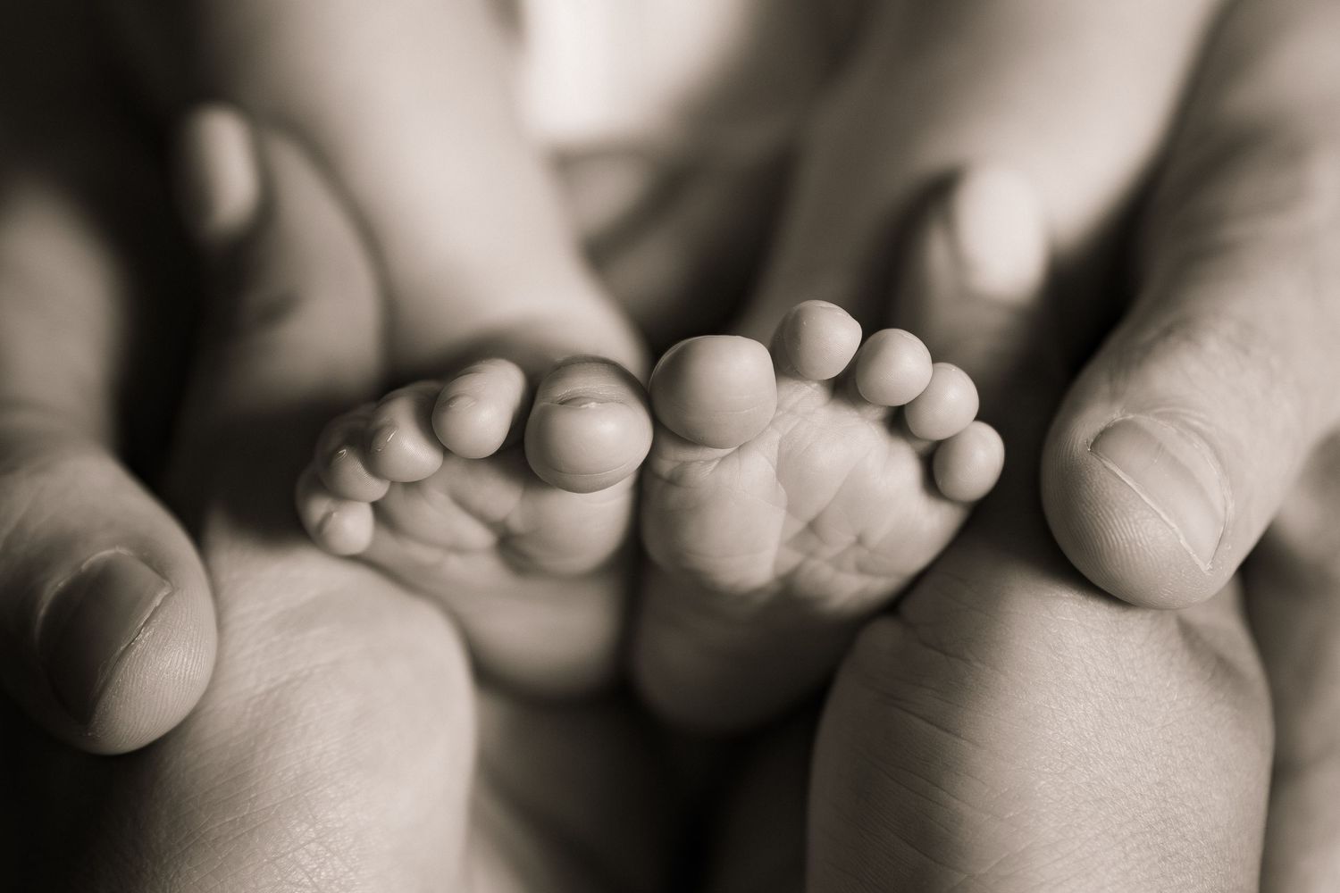 Tiny newborn baby feet cradled gently in adult hands, captured in soft sepia tone photography.