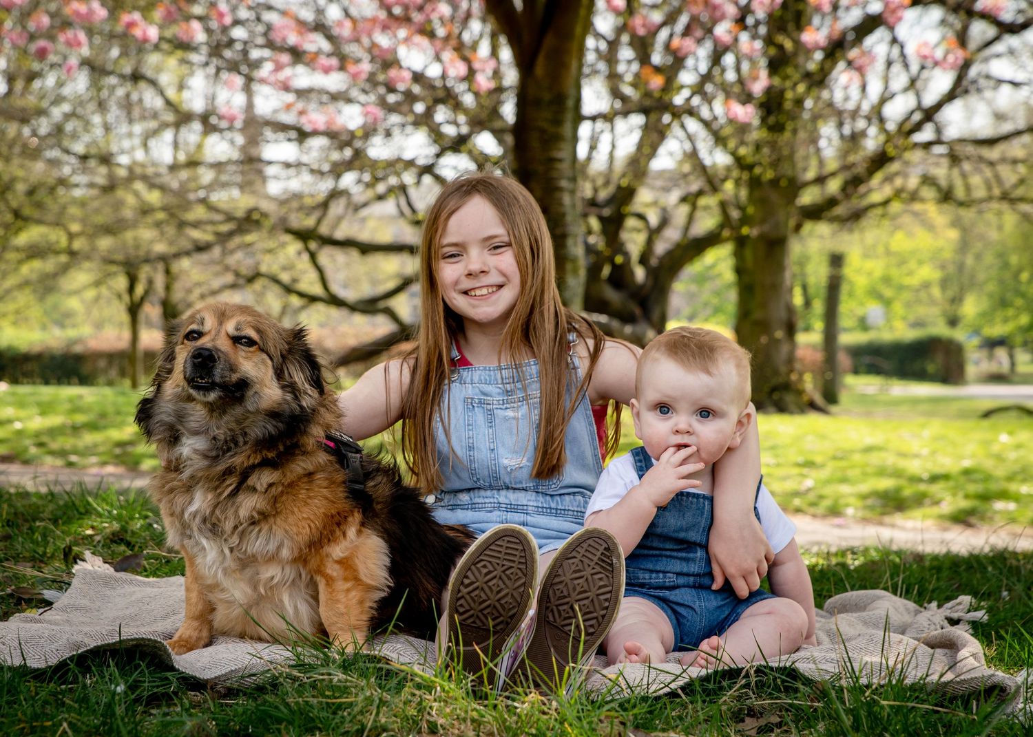 A smiling girl and baby in denim sit on a blanket with a fluffy dog under blooming spring trees outdoors.
