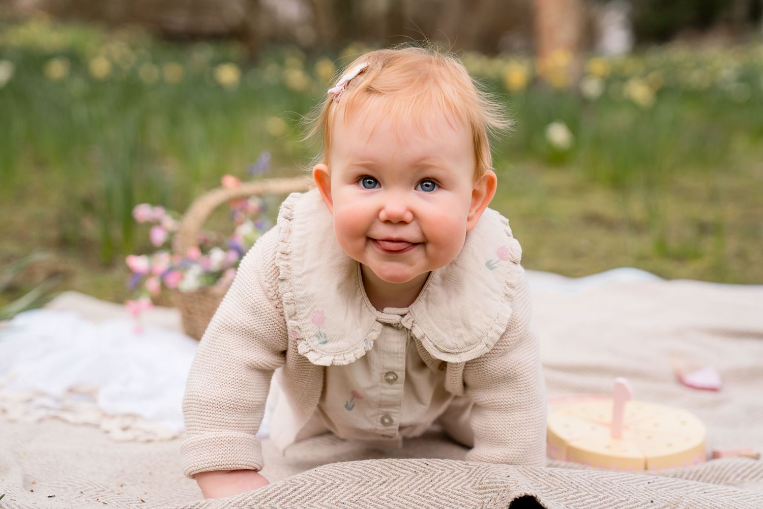 Smiling baby girl in a cream knit sweater lying on a blanket outdoors surrounded by spring flowers.