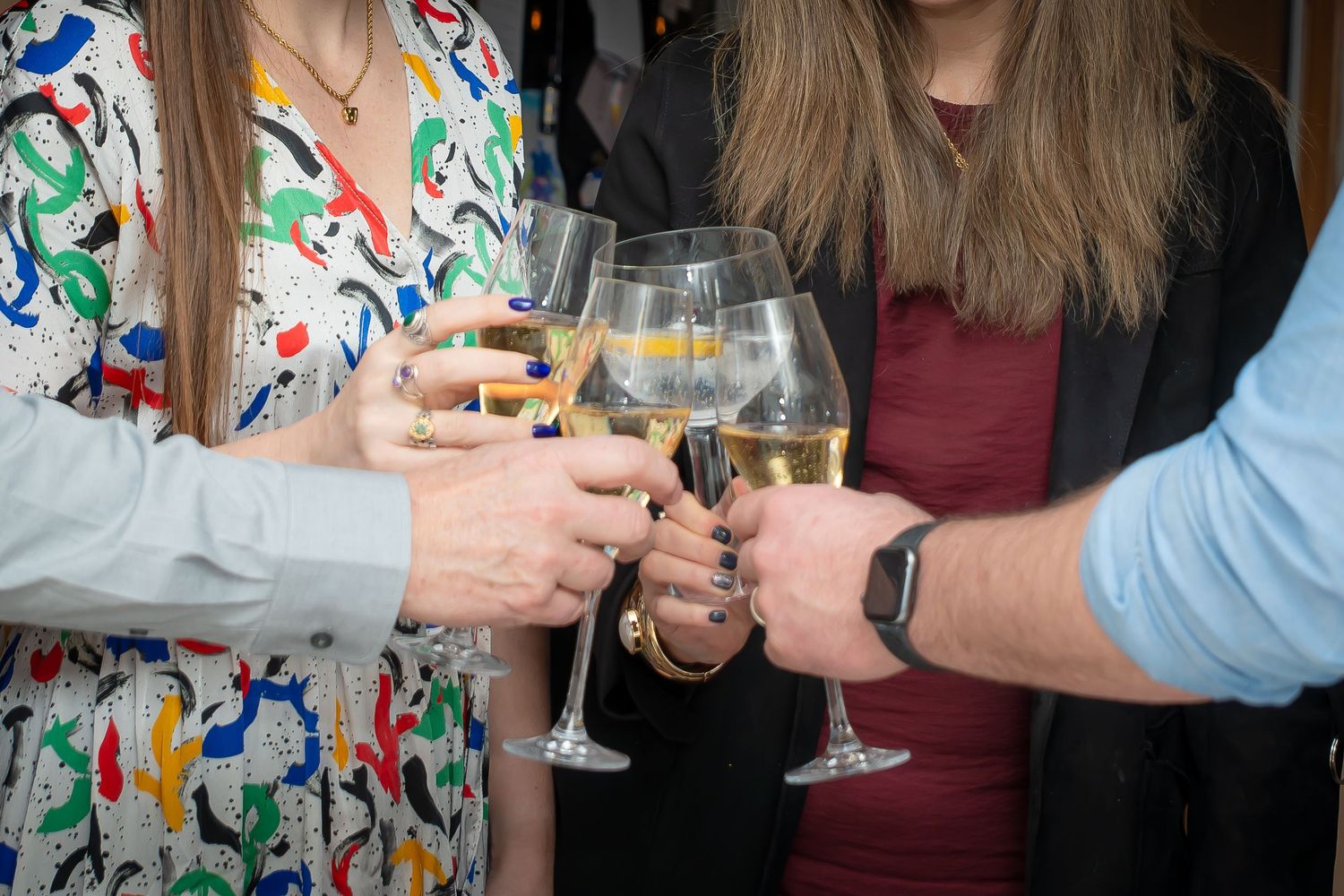 Group of people clinking wine glasses together in a celebratory toast at a social gathering.