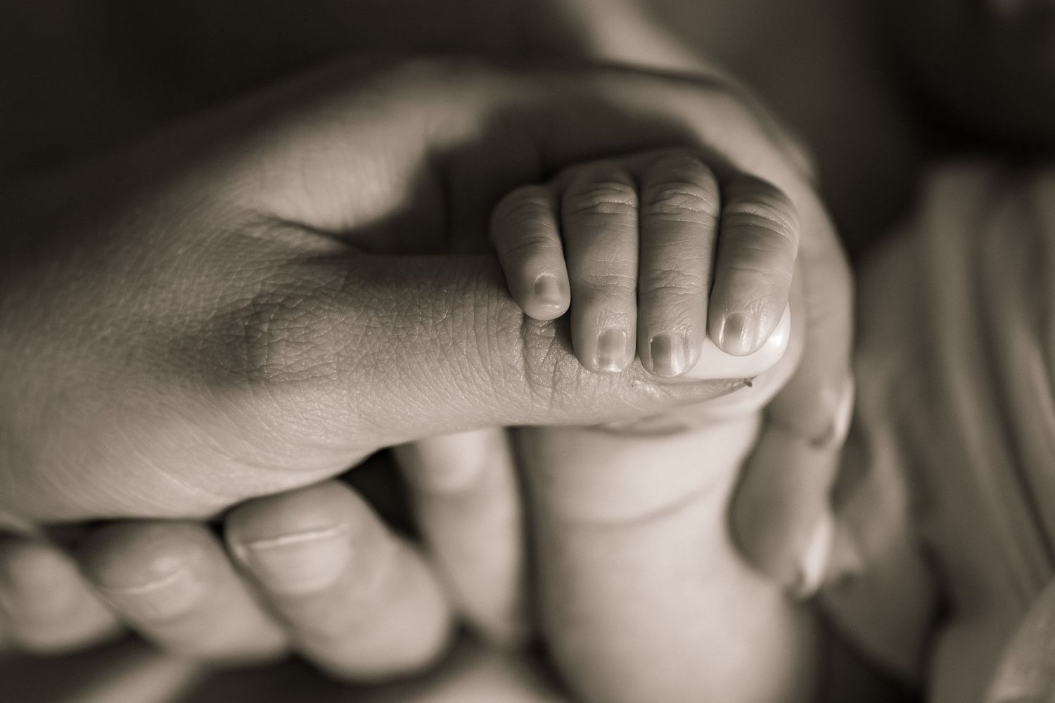 A newborn baby's tiny hand grasping an adult's finger in a tender black and white close-up photo.