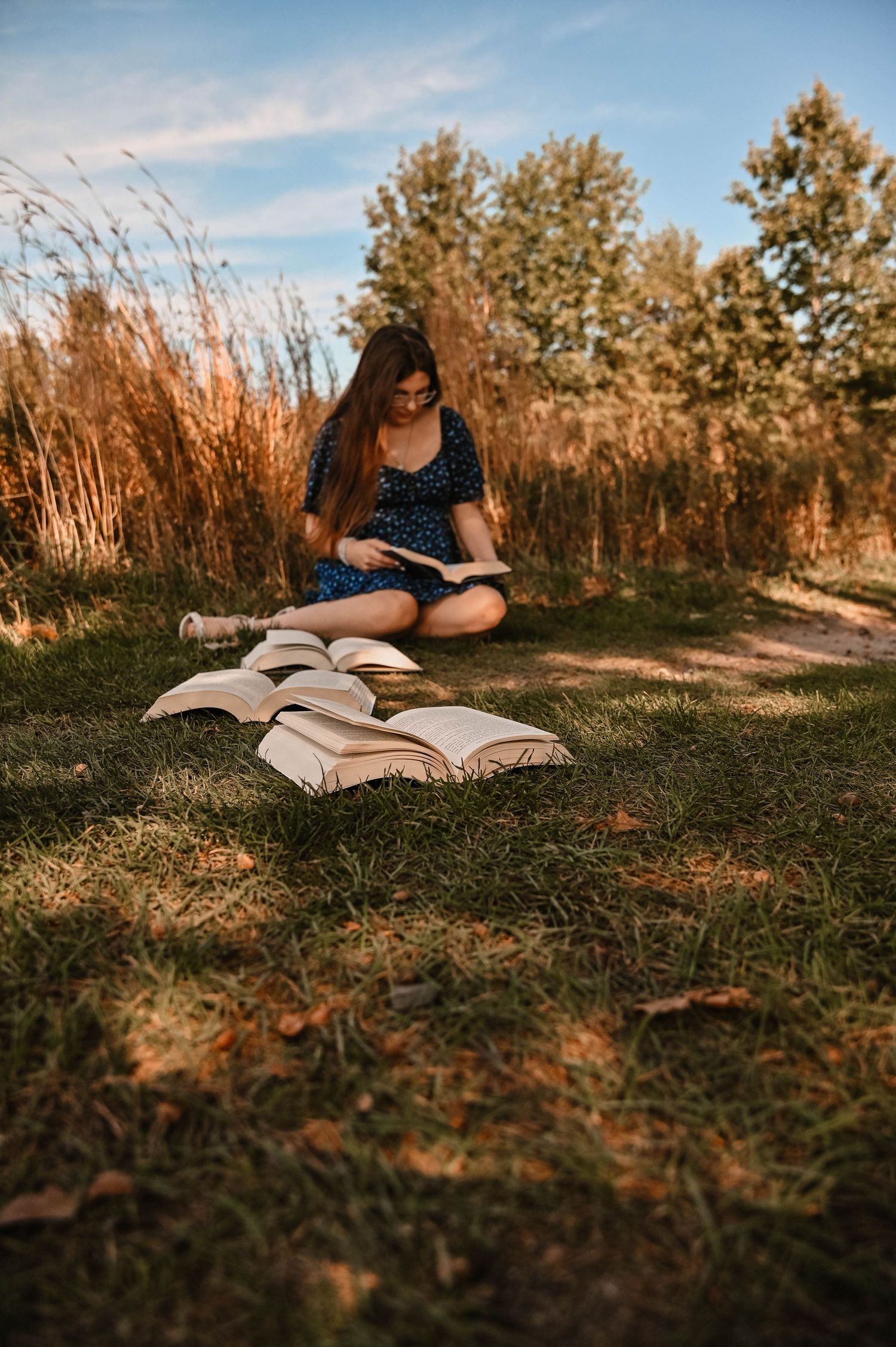 Books spread out on green grass with golden sunlight filtering through trees in the background.