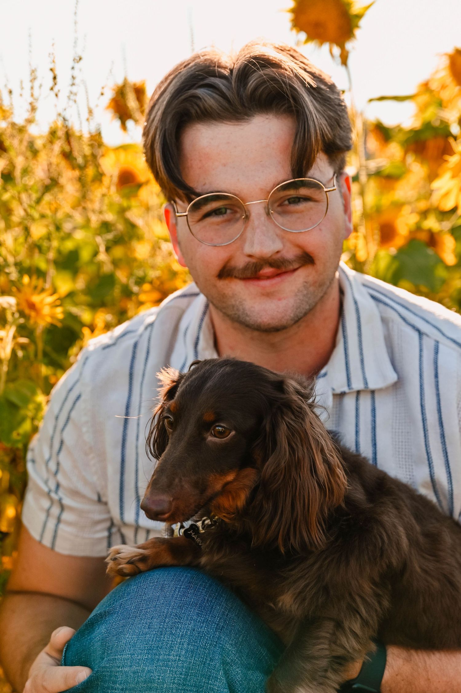 Person in striped shirt cuddling with dark-haired dog during golden hour photoshoot.