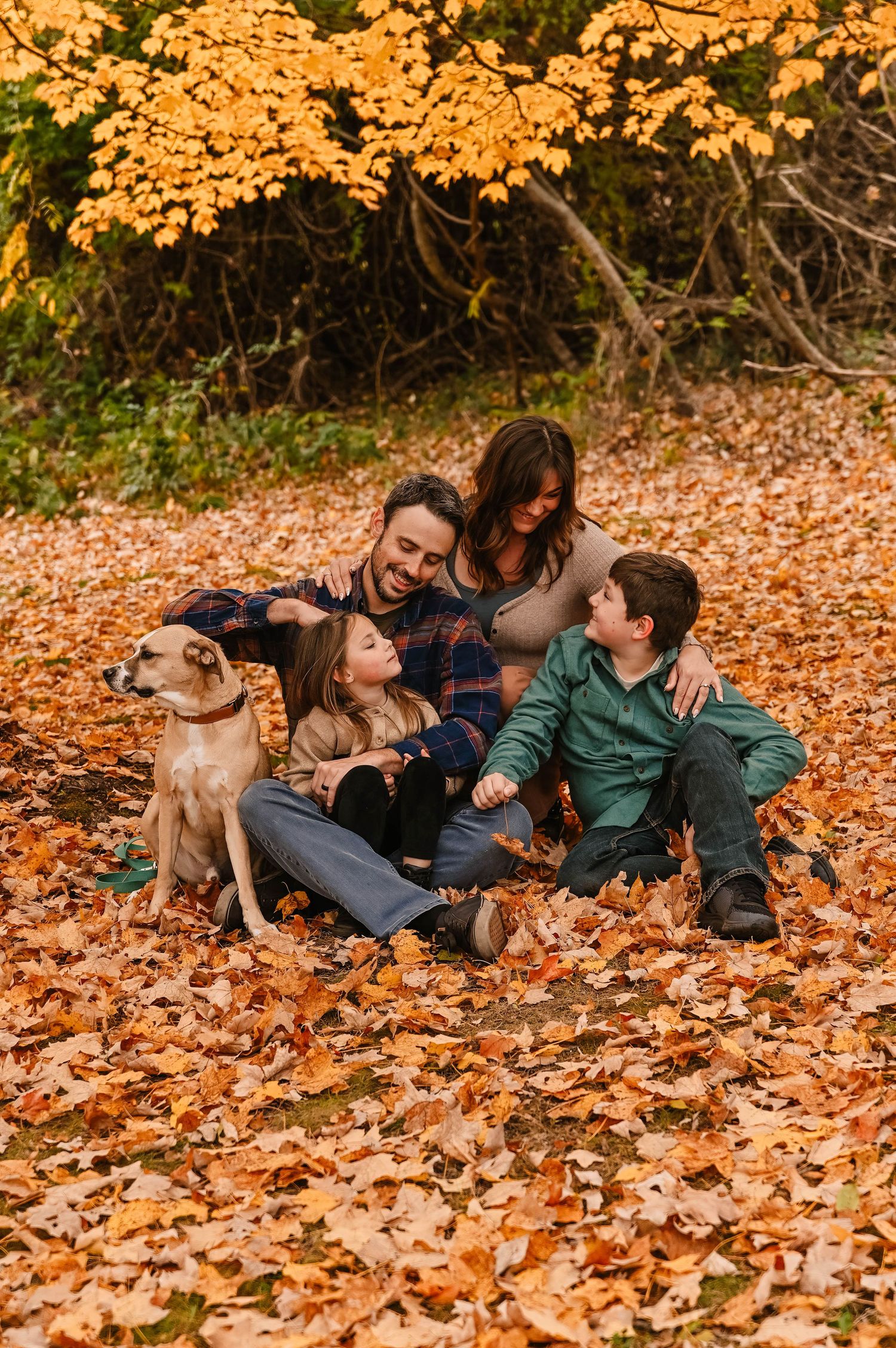 Family and dog sitting together on fallen autumn leaves under golden trees.