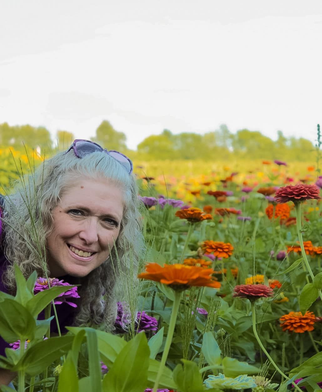 Colorful garden scene with orange marigolds and purple flowers in bloom.