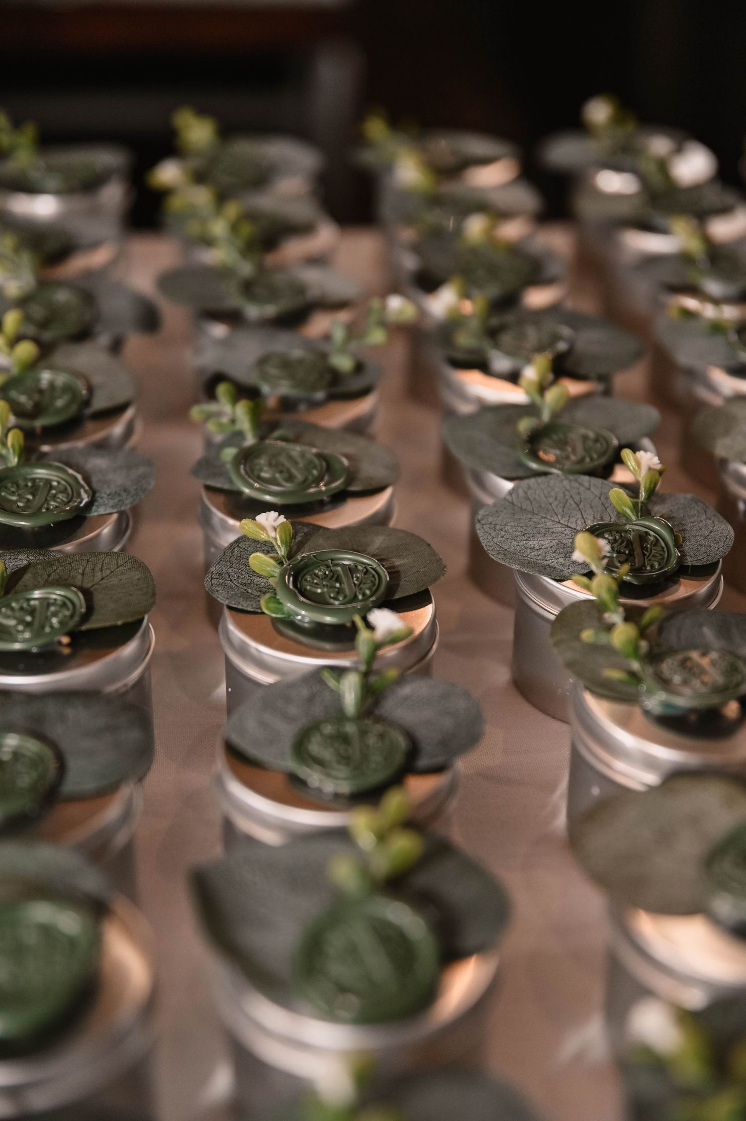 Small succulent plants arranged in decorative silver jars with copper accents.