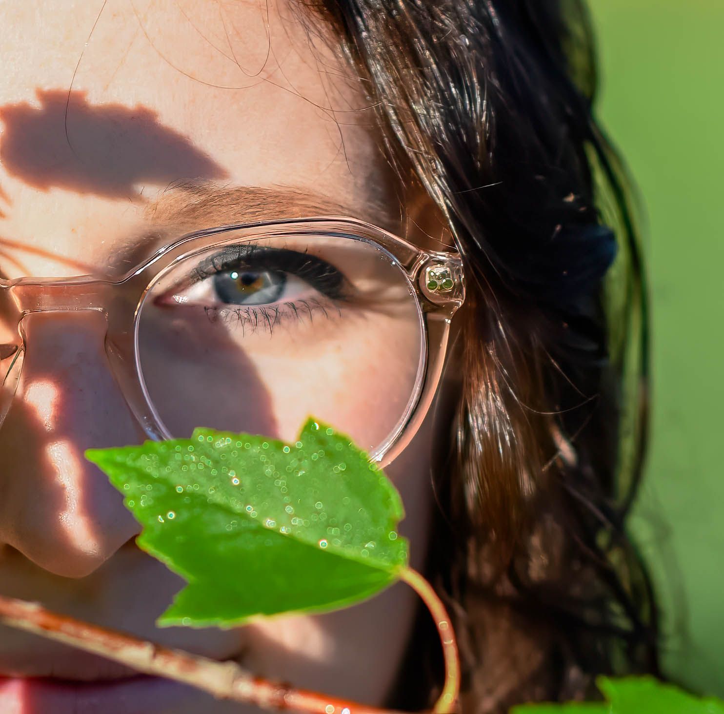 Close-up photo of glasses with a green leaf creating artistic shadows and reflections.