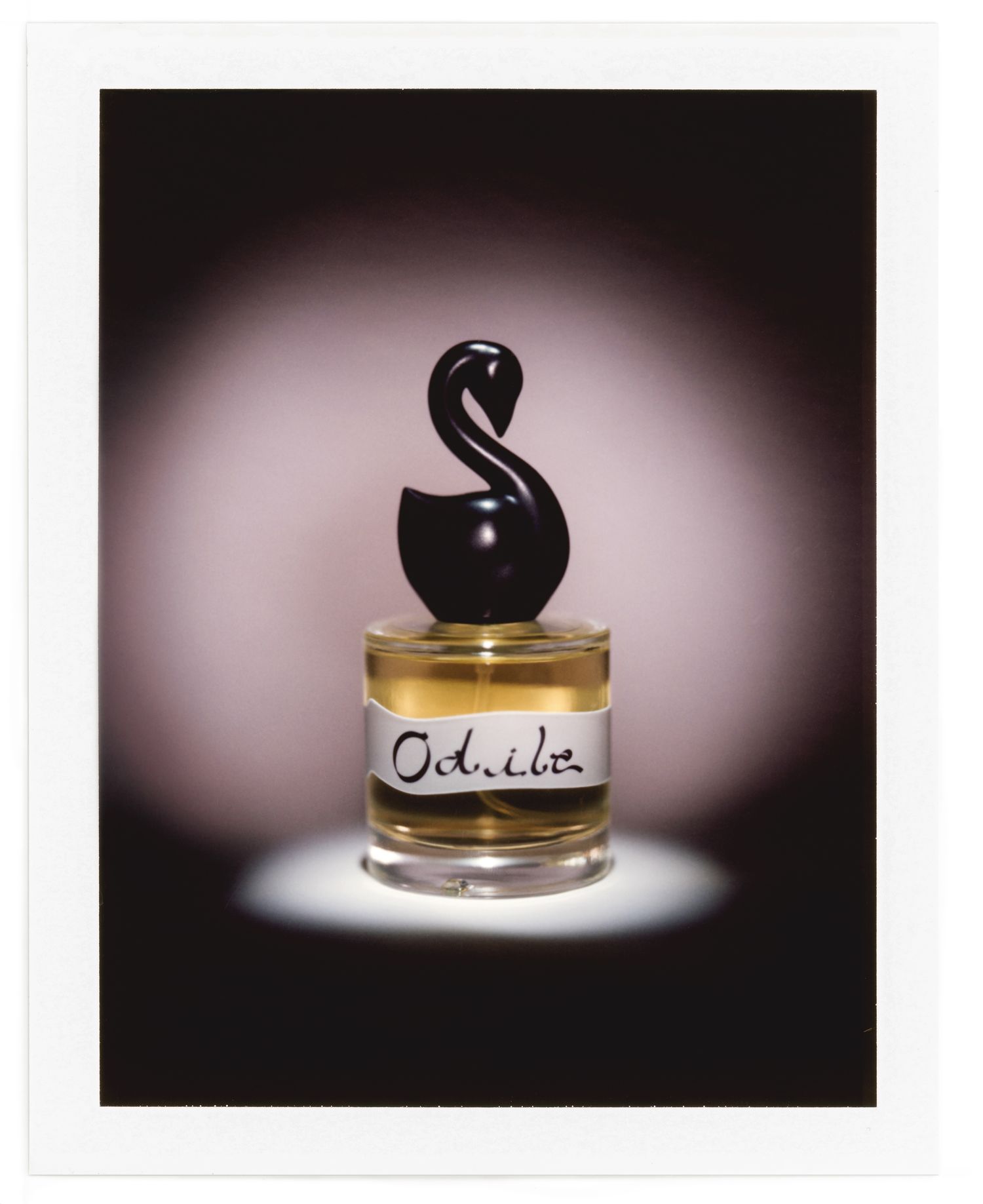 A 4x5 Polaroid shows a bottle of Gumamina's Odile fragrance with a spotlight over it.