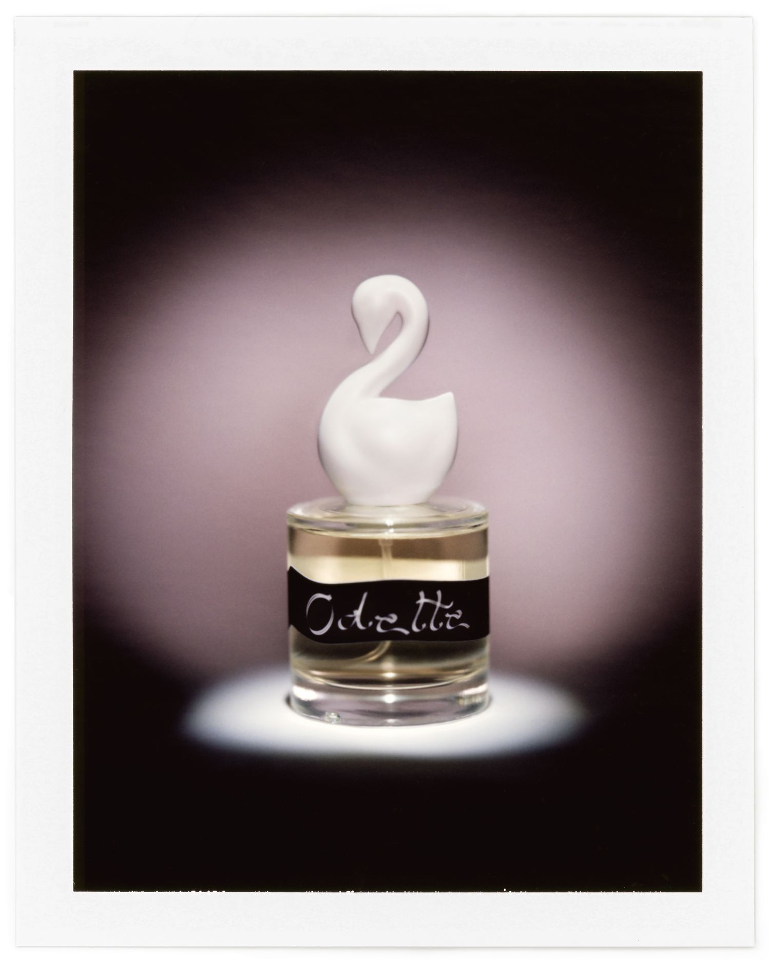 A 4x5 Polaroid shows a bottle of Gumamina's Odette fragrance with a spotlight over it.