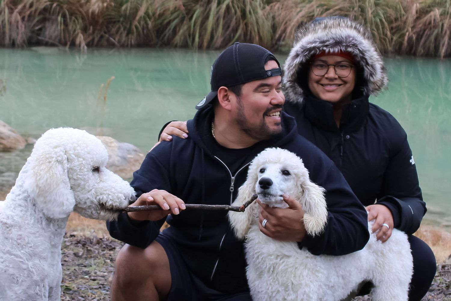 Couple posing outdoors with two white standard poodles