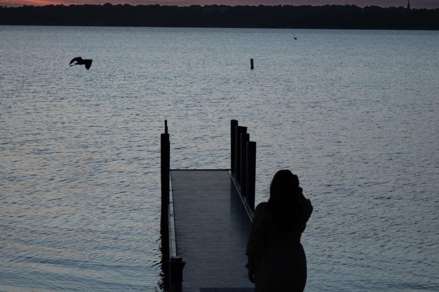 Silhouette of woman standing near a dock overlooking the water