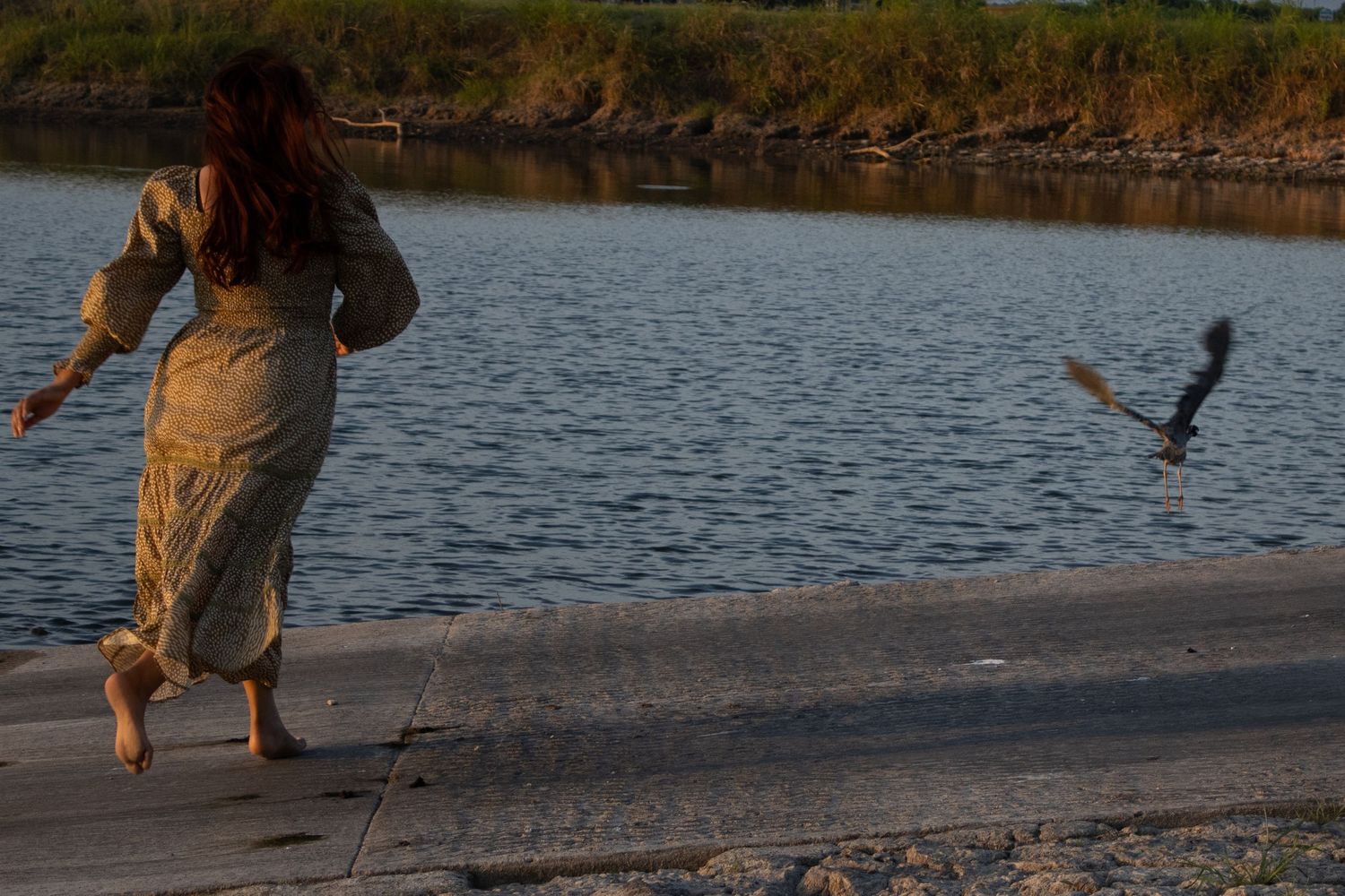 Woman walking along the waterfront as birds fly nearby