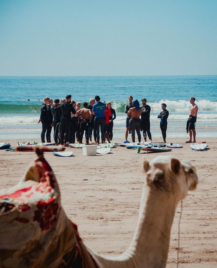 A camel in the foreground watches a group of surfers gathered on a sandy beach with surfboards near ocean waves.
