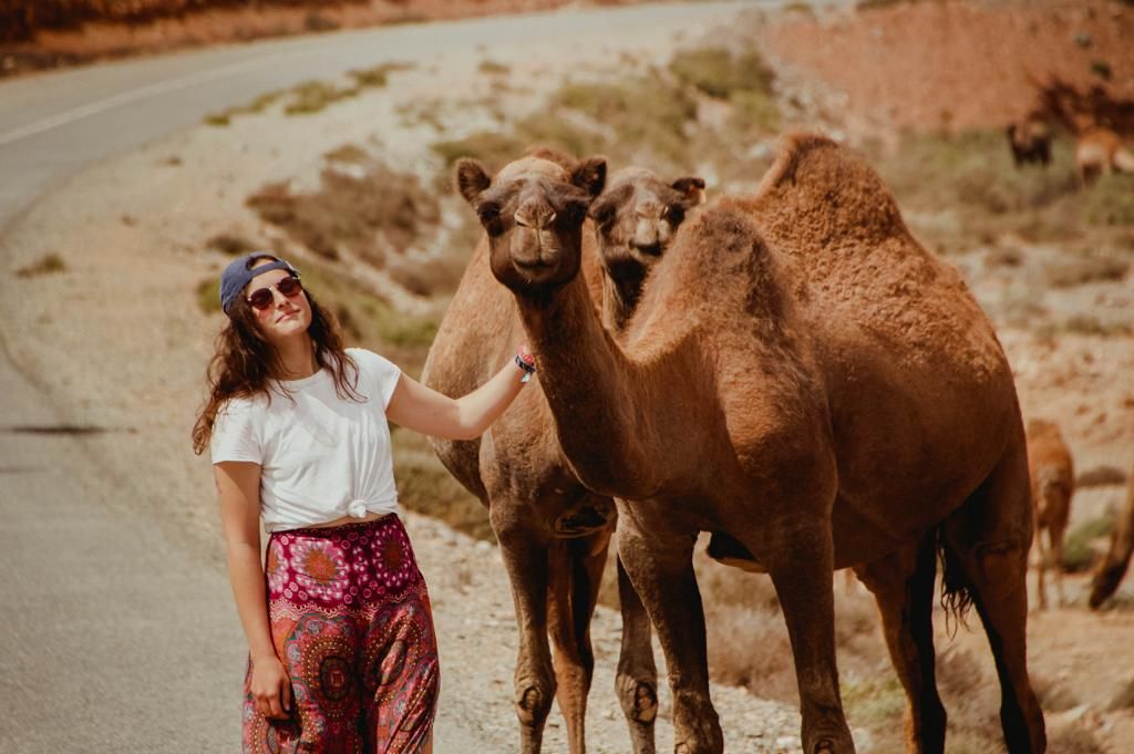 Woman in bohemian skirt smiling beside two camels on a desert roadside.