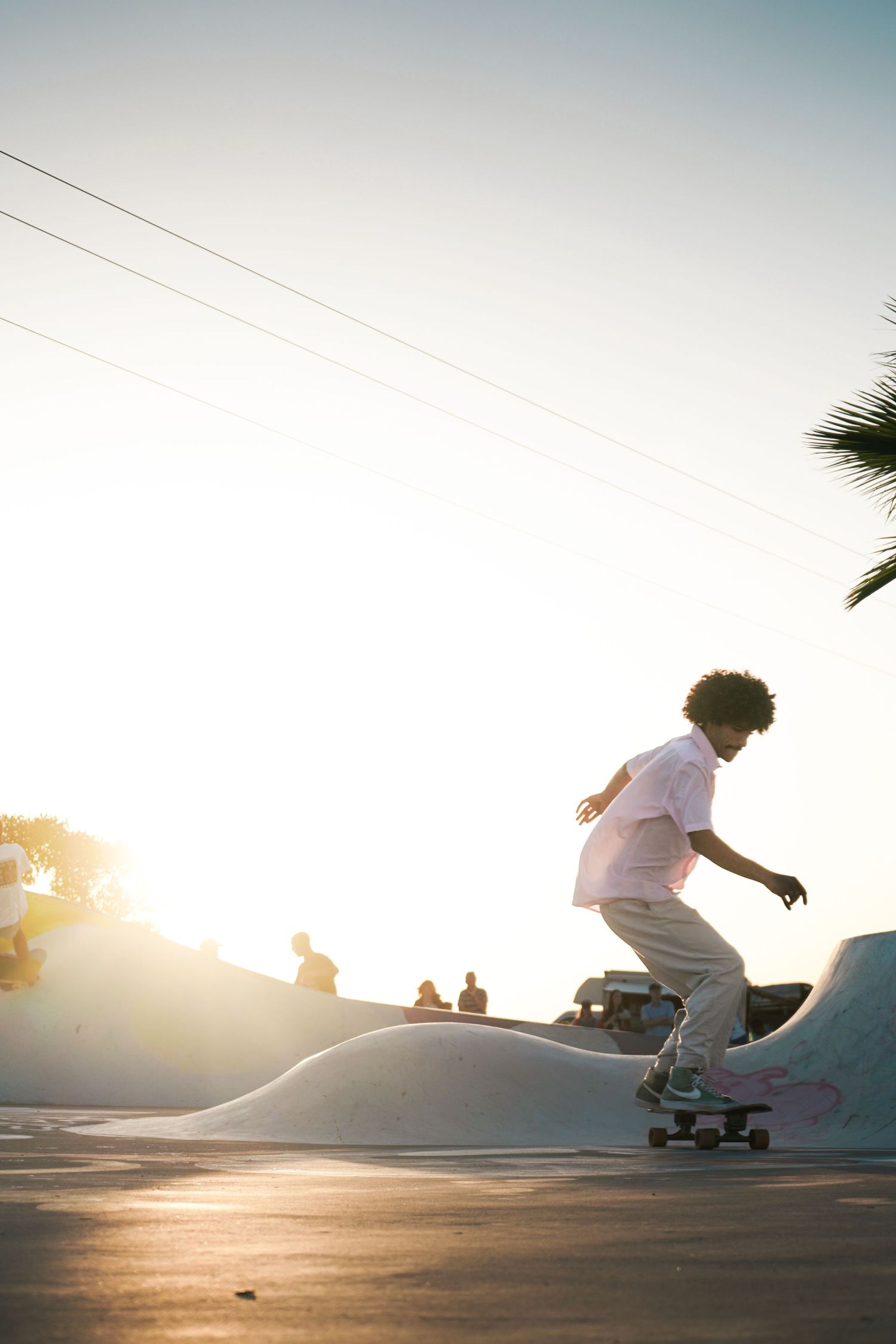 Young skateboarder riding a ramp at sunset in an outdoor skate park with golden backlight and palm tree.