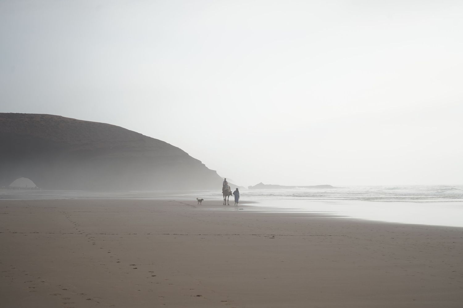 Two people and a dog walking on a misty foggy beach with dramatic coastal cliffs.