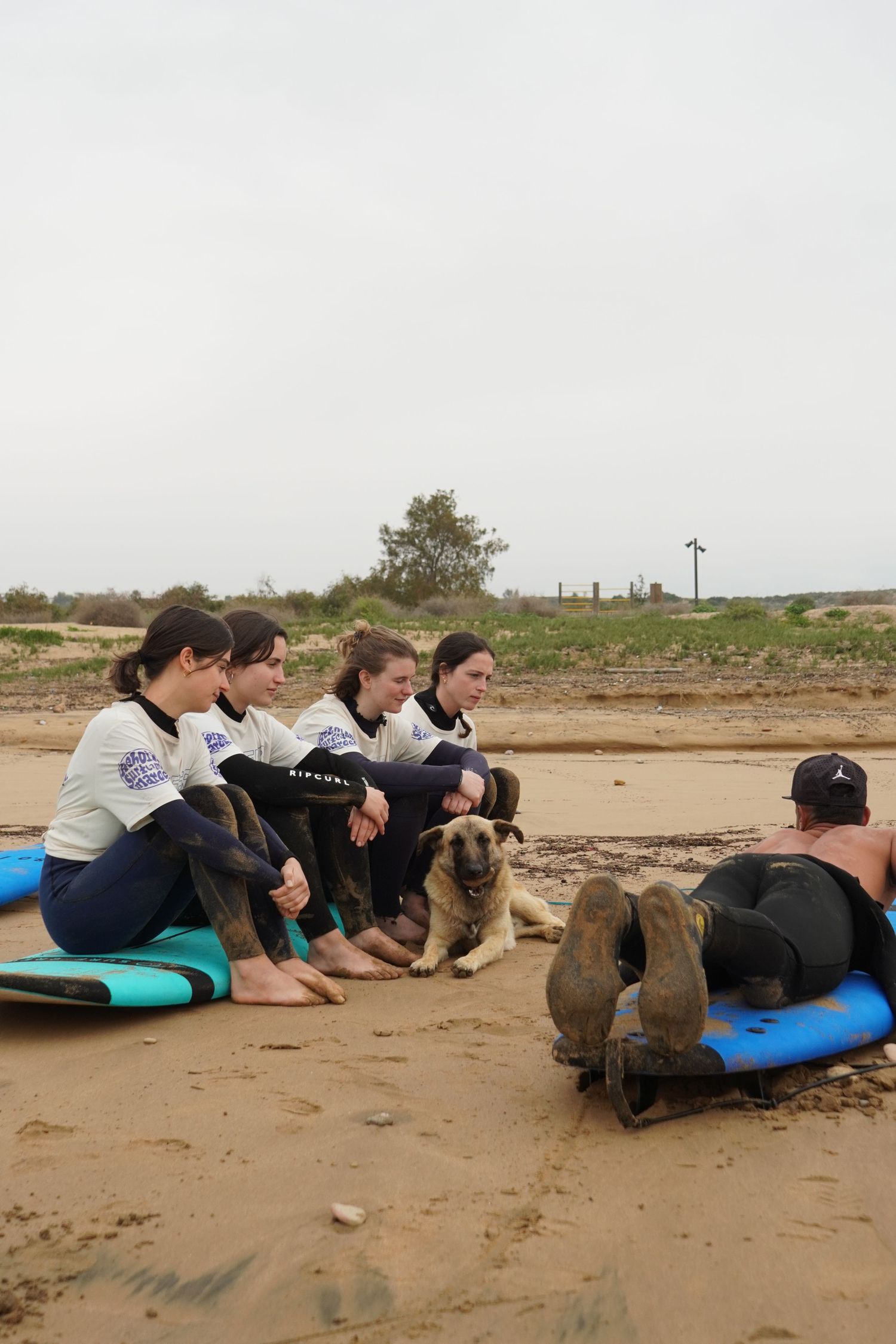 Four surfers sit on blue boards on a sandy beach with a dog, while an instructor lies on a surfboard nearby.