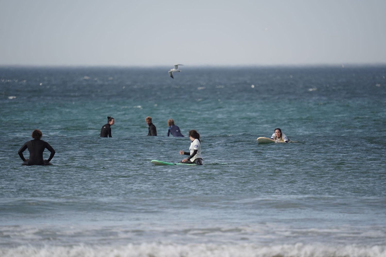 Group of surfers waiting for waves in the ocean on a cloudy day, with a seagull flying overhead.