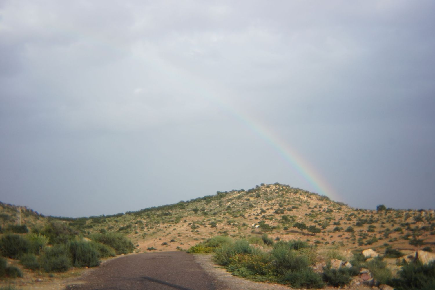 Vibrant rainbow appearing over a scrubby desert hillside under dramatic stormy grey clouds.