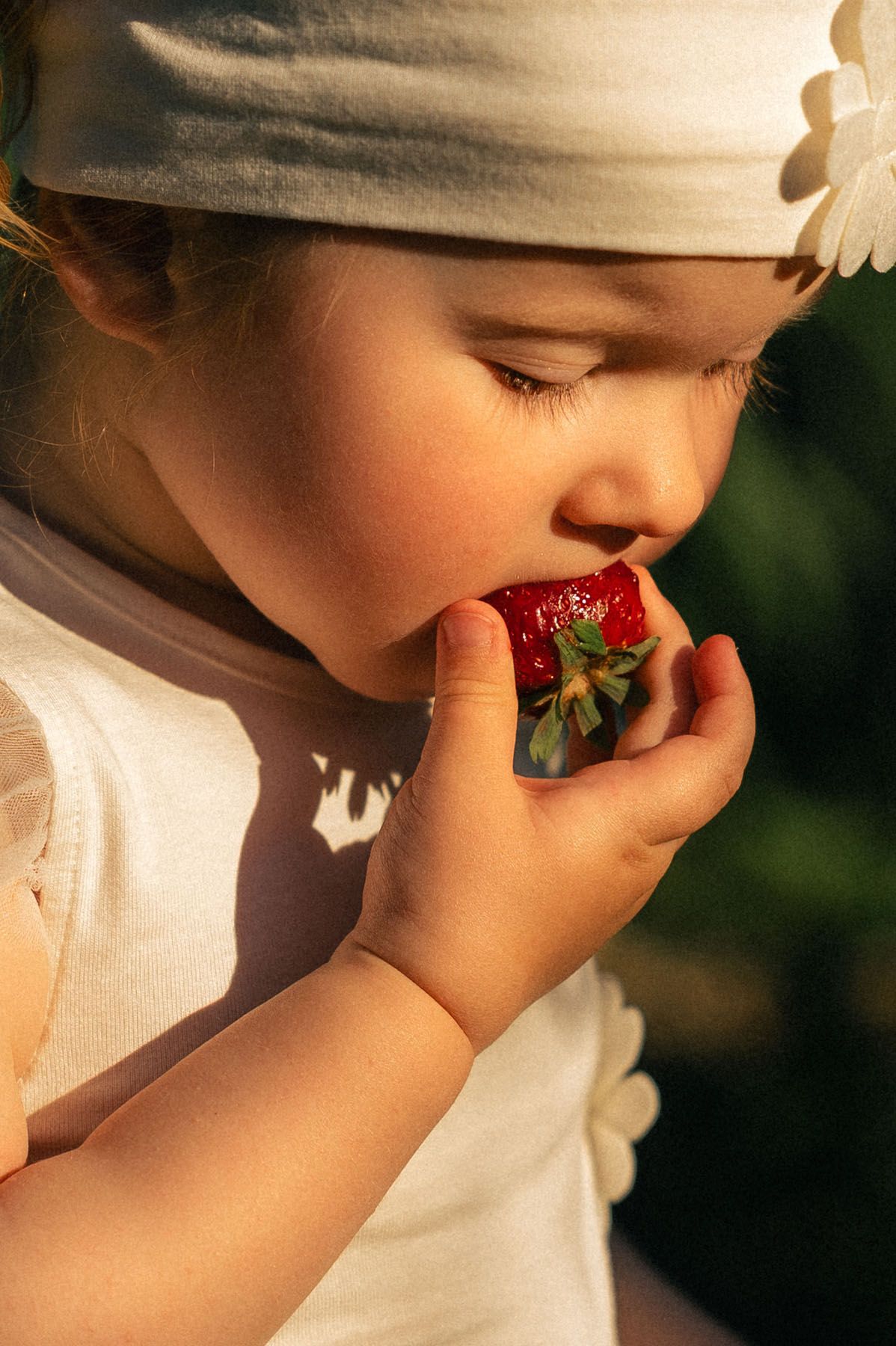 Toddler in bonnet eating strawberry outdoors, golden hour portrait