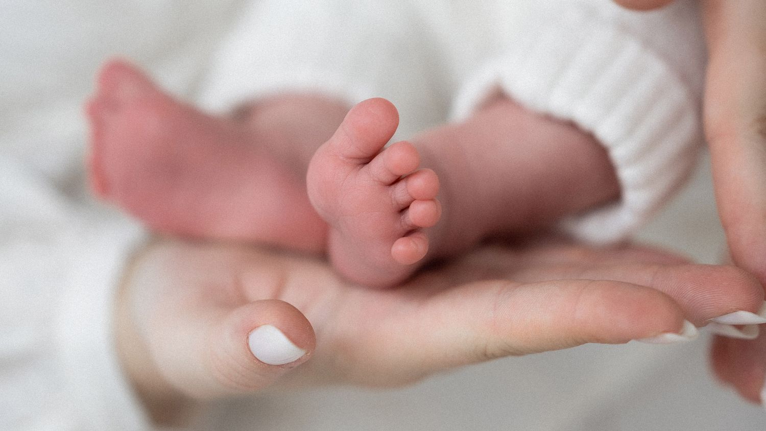 Close-up of newborn baby's bare feet, soft studio lighting