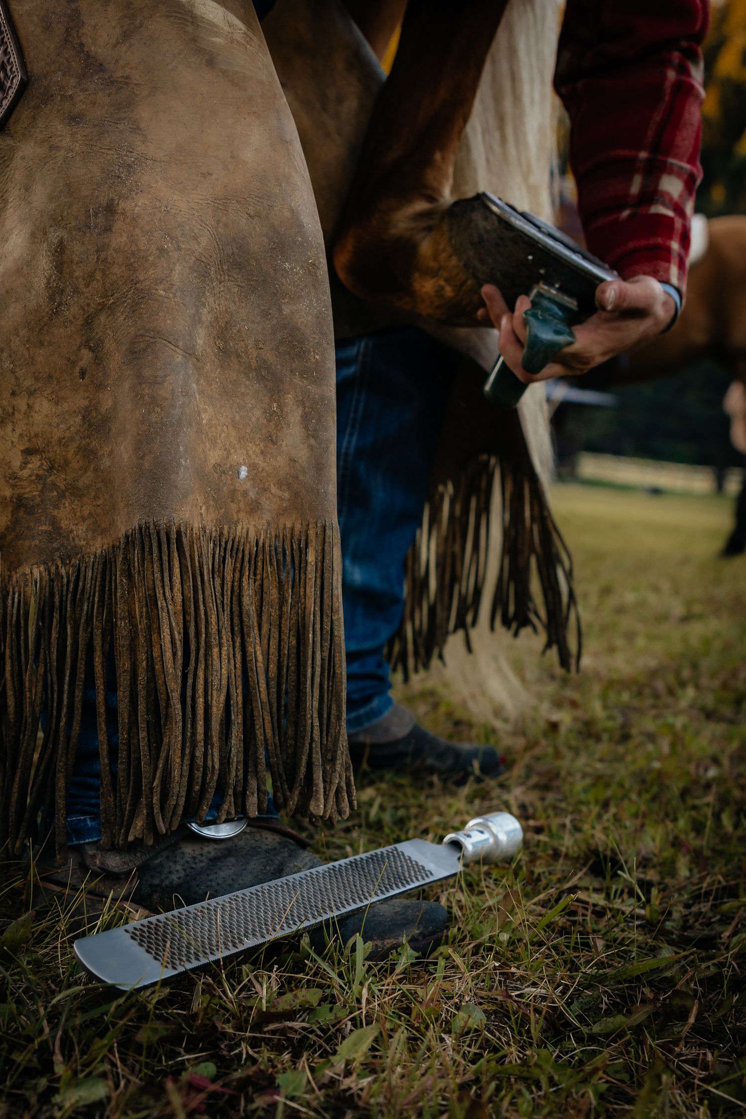 Western Nebraska Lifestyle Photography Farrier filing a horse hoof with a metal rasp on grass, wearing plaid shirt and jeans.