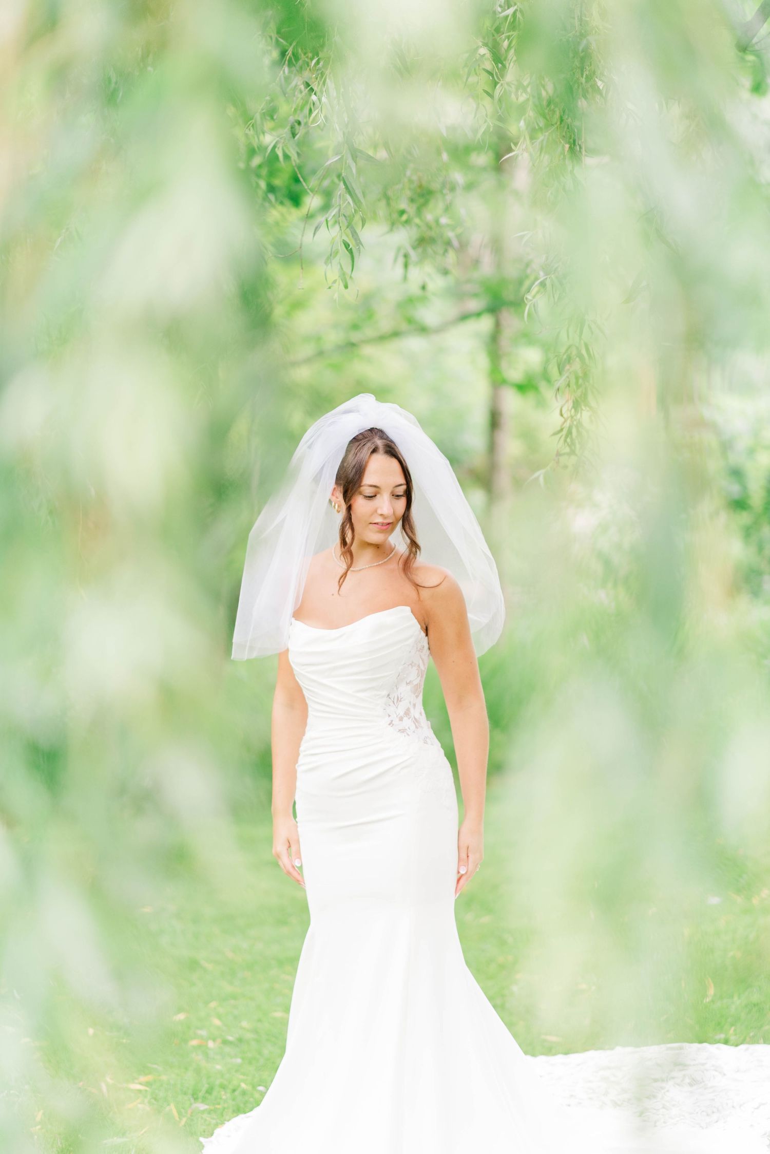 Bride under willow tree at Whispering Hollow Estates in Pleasantville, Pennsylvania