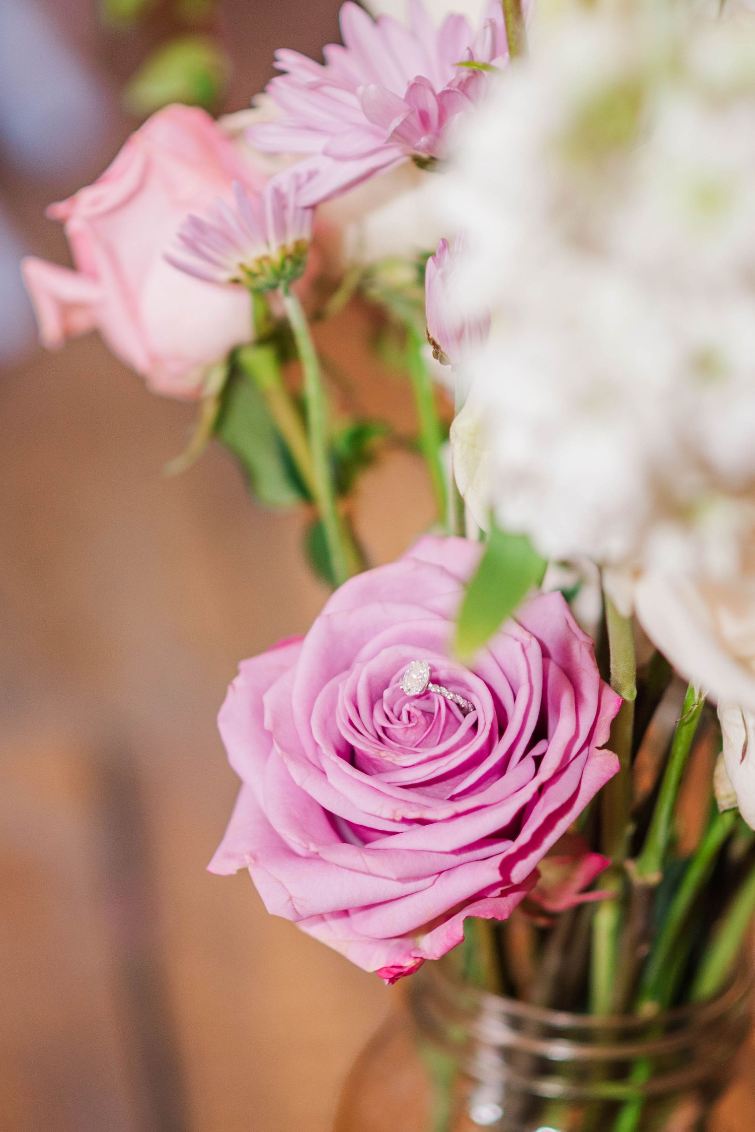 Rose with ring at Joiner Farms in Northern Cambria, Pennsylvania