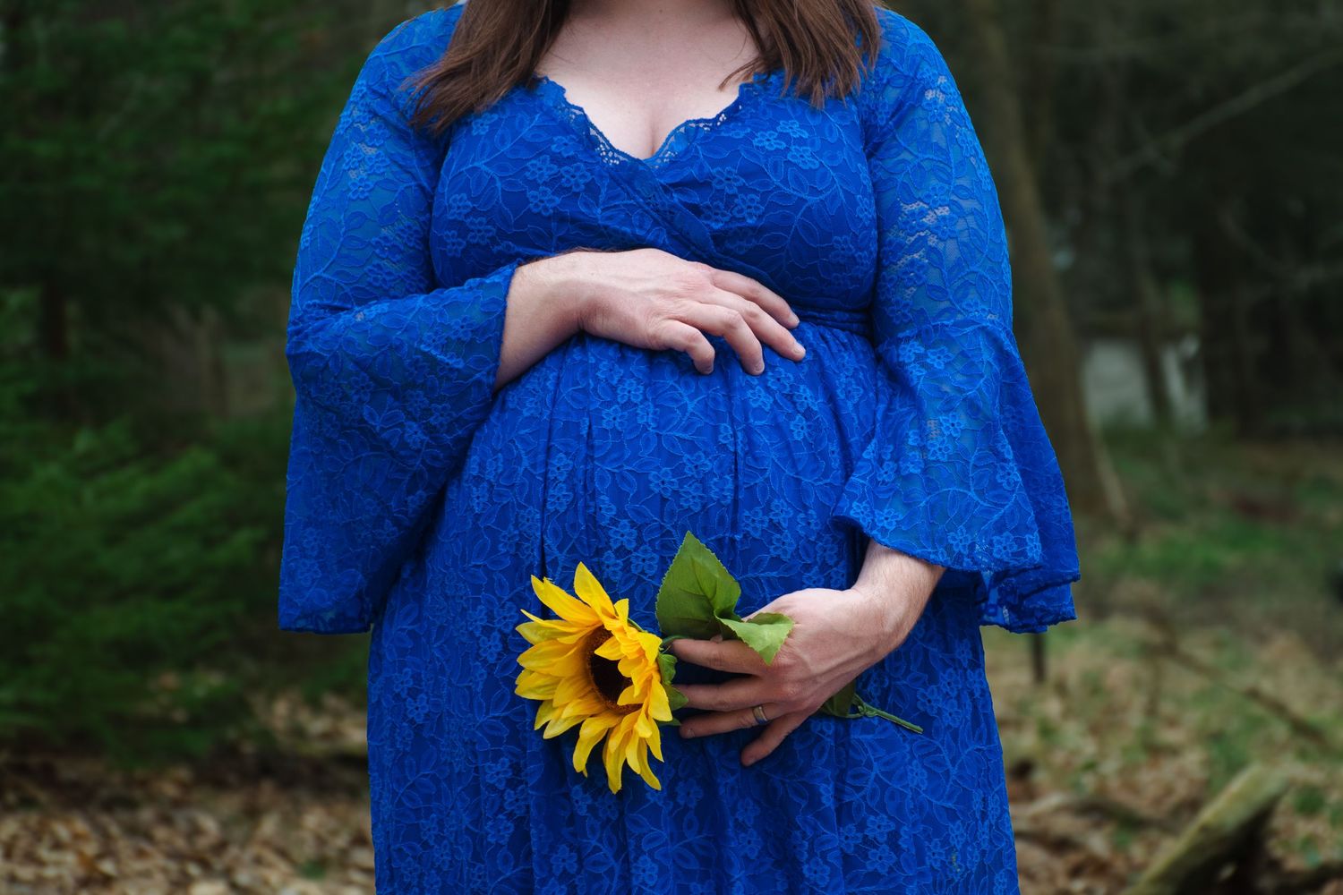 Maternity belly photo with sunflowers in Johnstown, Pennsylvania