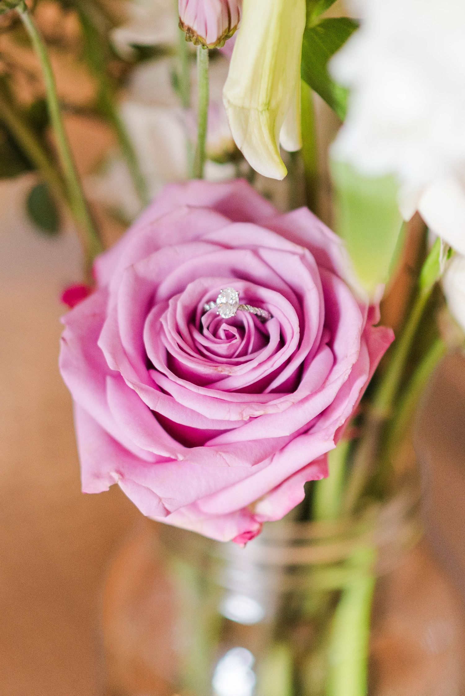 Rose with ring in it at Joiner Farms in Northern Cambria, Pennsylvania