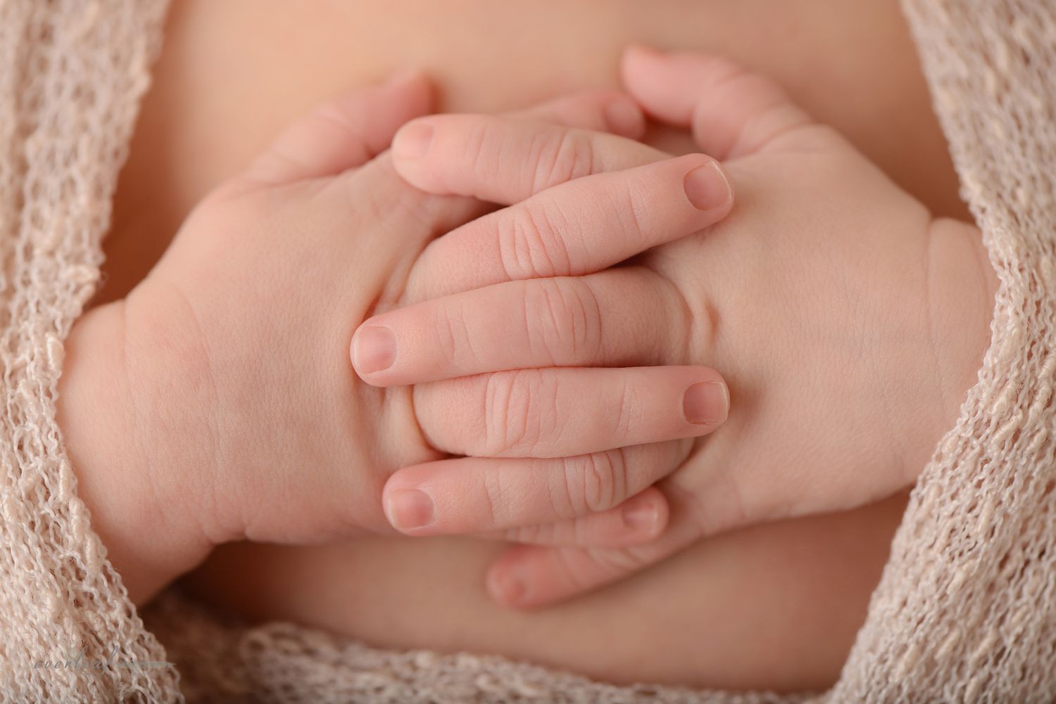 Close-up of a newborn baby clasping their hands during a portrait