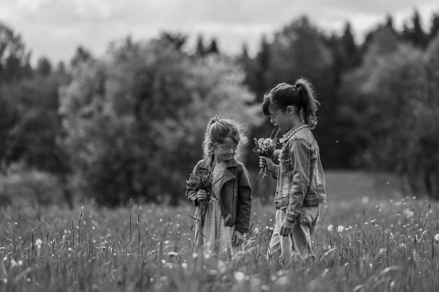 Two young girls stand in a wildflower meadow holding dandelions in this black and white photo.