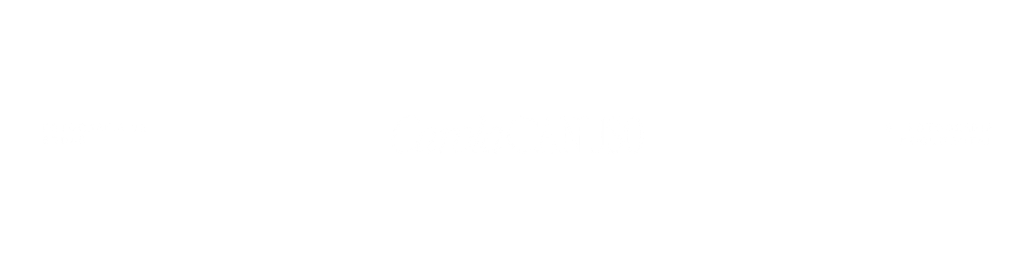 Carola Canuso Fotografa de bodas