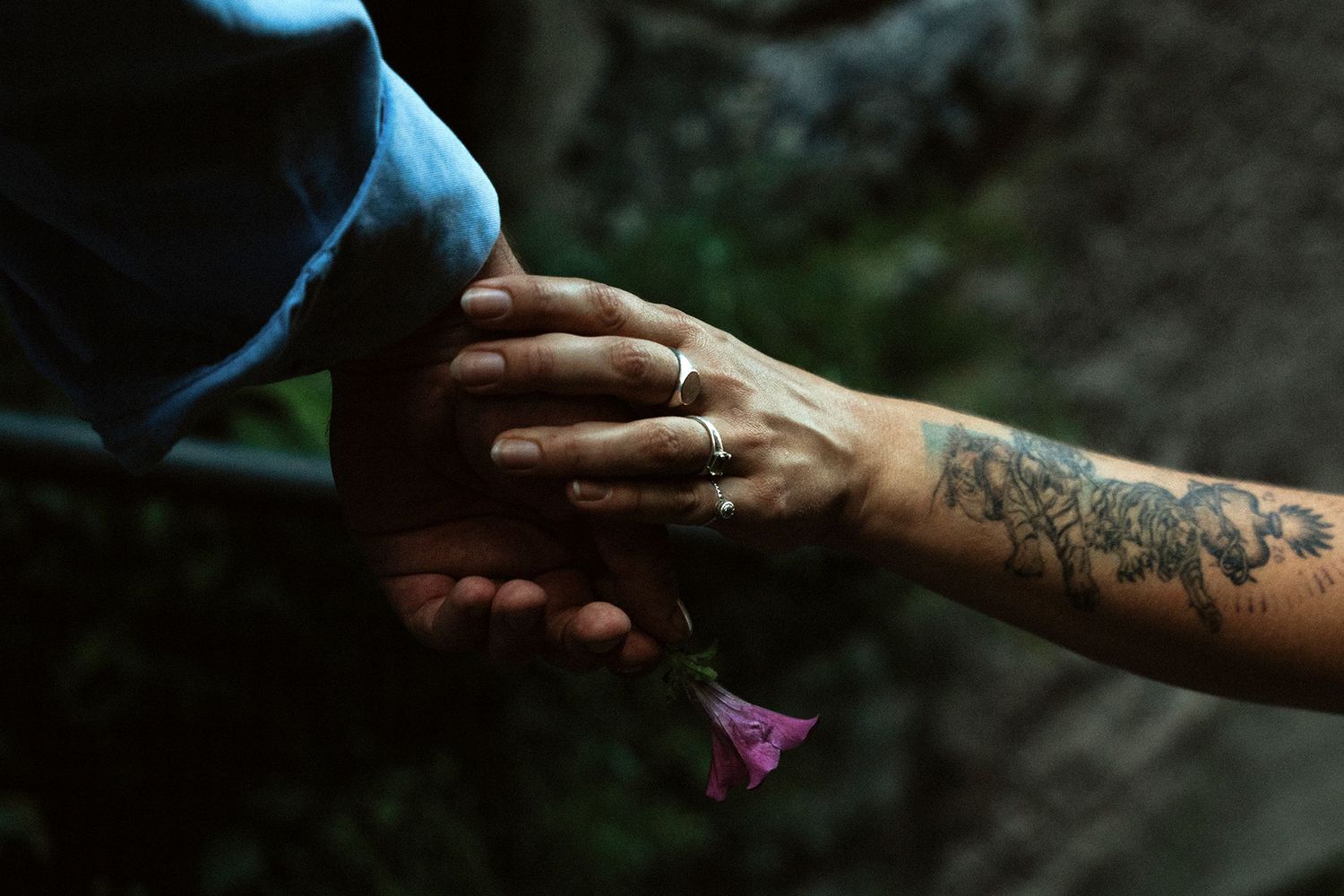Two hands holding a small pink flower, one with a floral tattoo and ring.