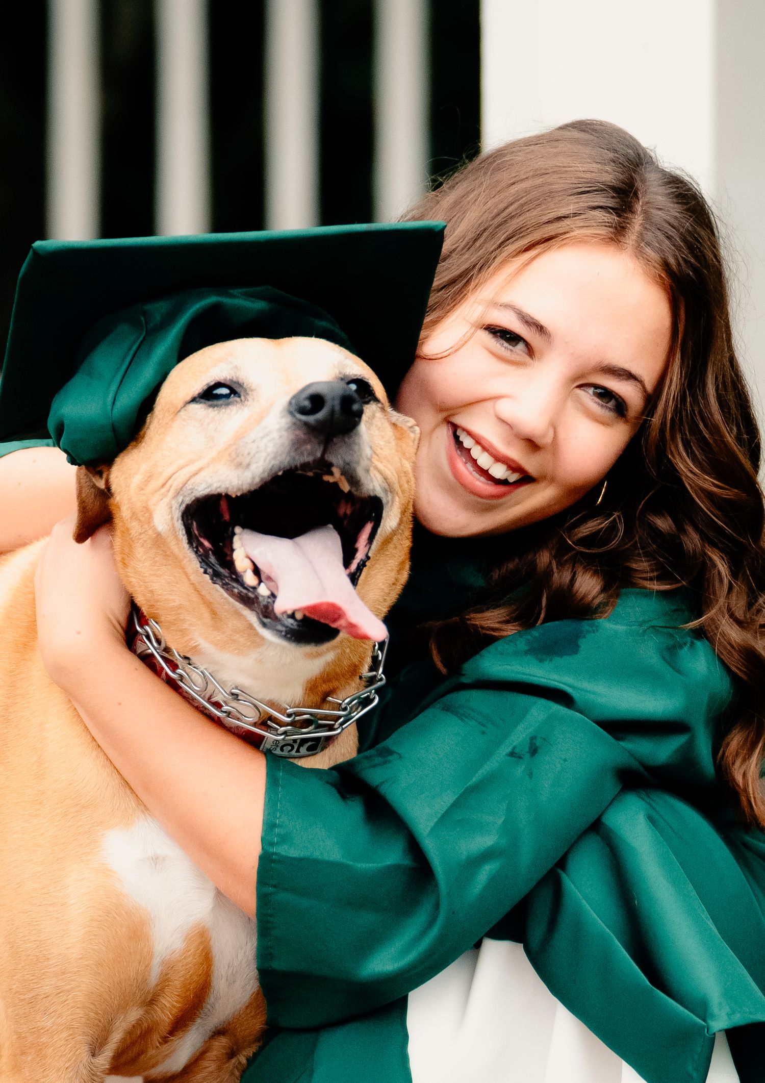 A playful series of photos showing a person in green clothing cuddling with a happy brown and white dog.